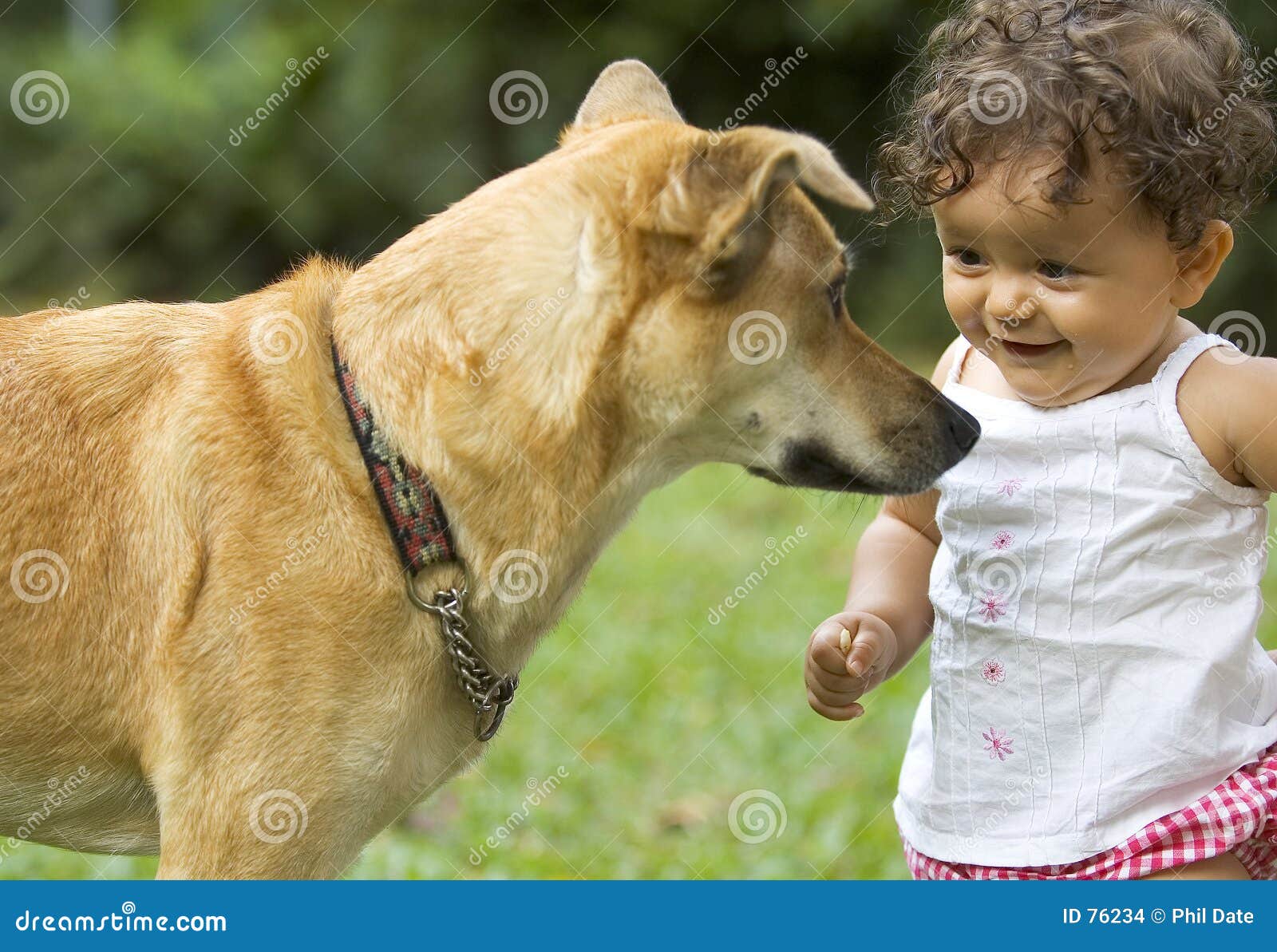 Girl and dog stock image. Image of face, happy, flower 