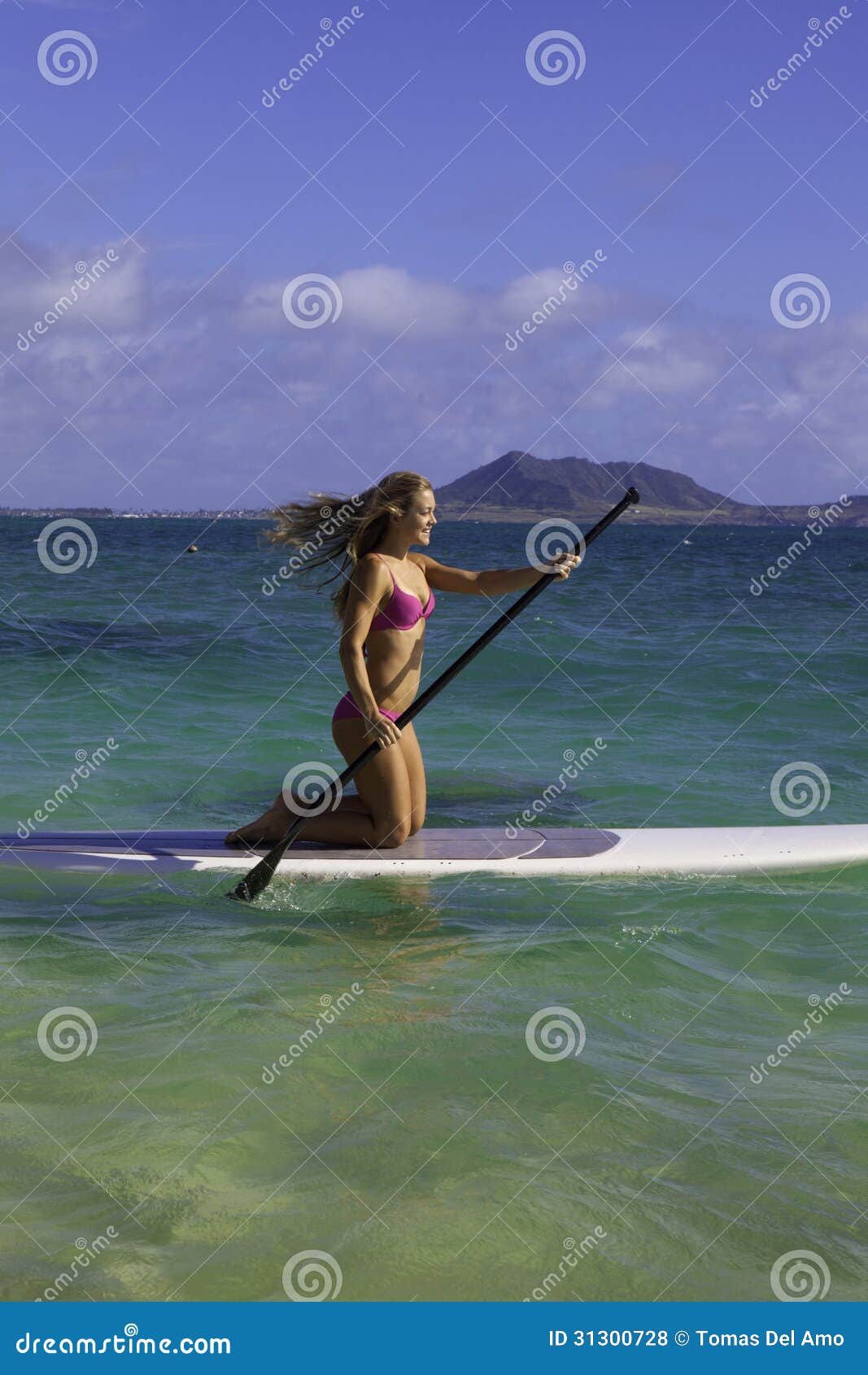  On Stand Up Paddle Board Royalty Free Stock Photos - Image: 31300728