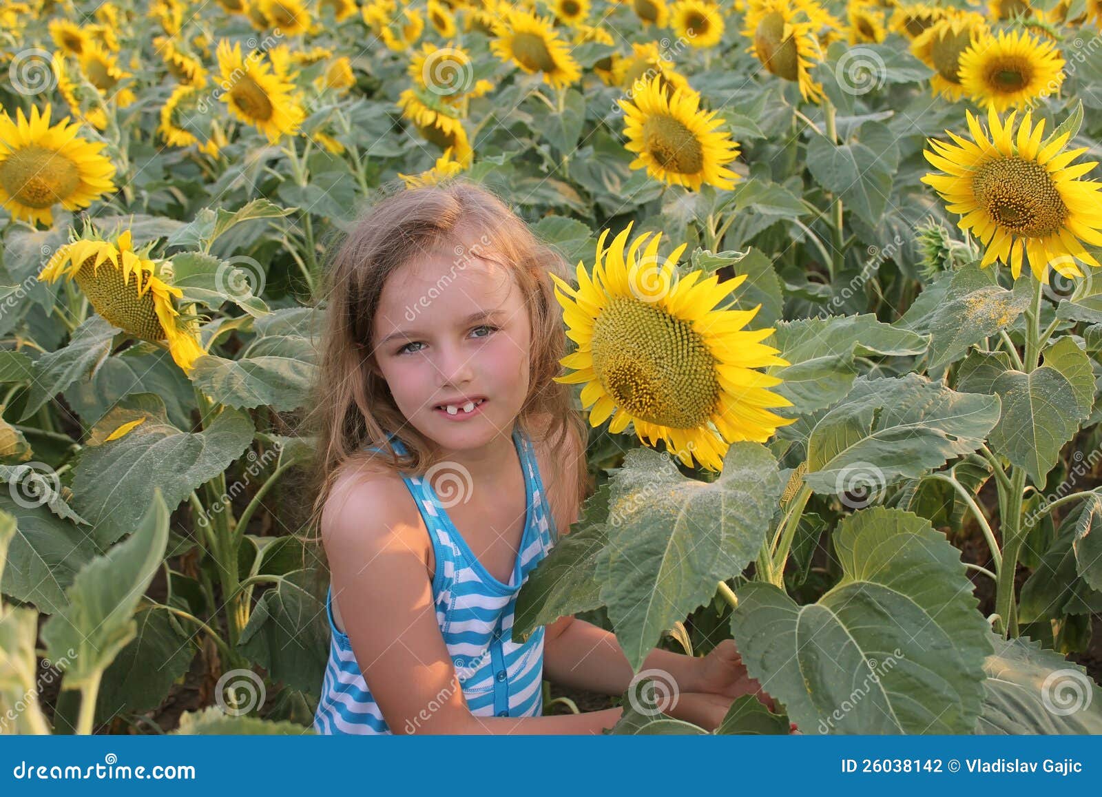 A Girl In The Sunflowers [1984 TV Movie]