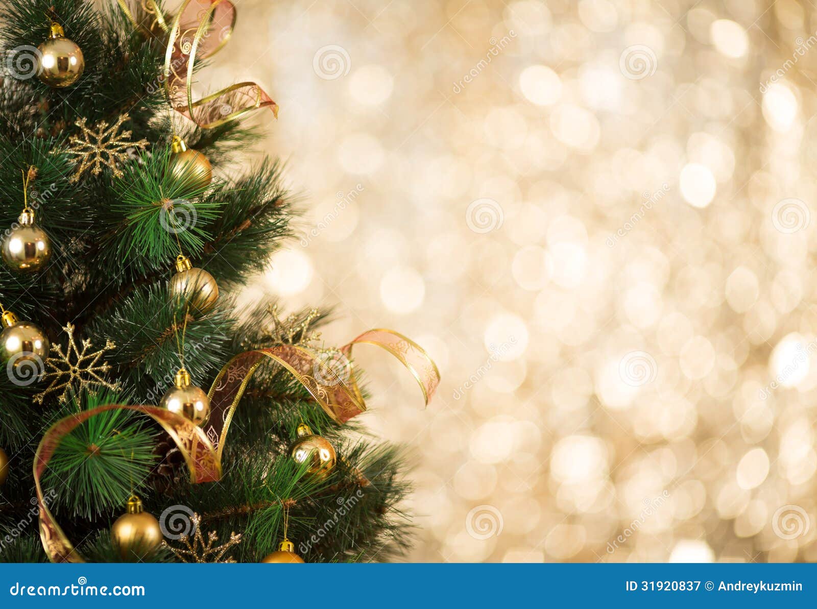 Christmas Photography Background