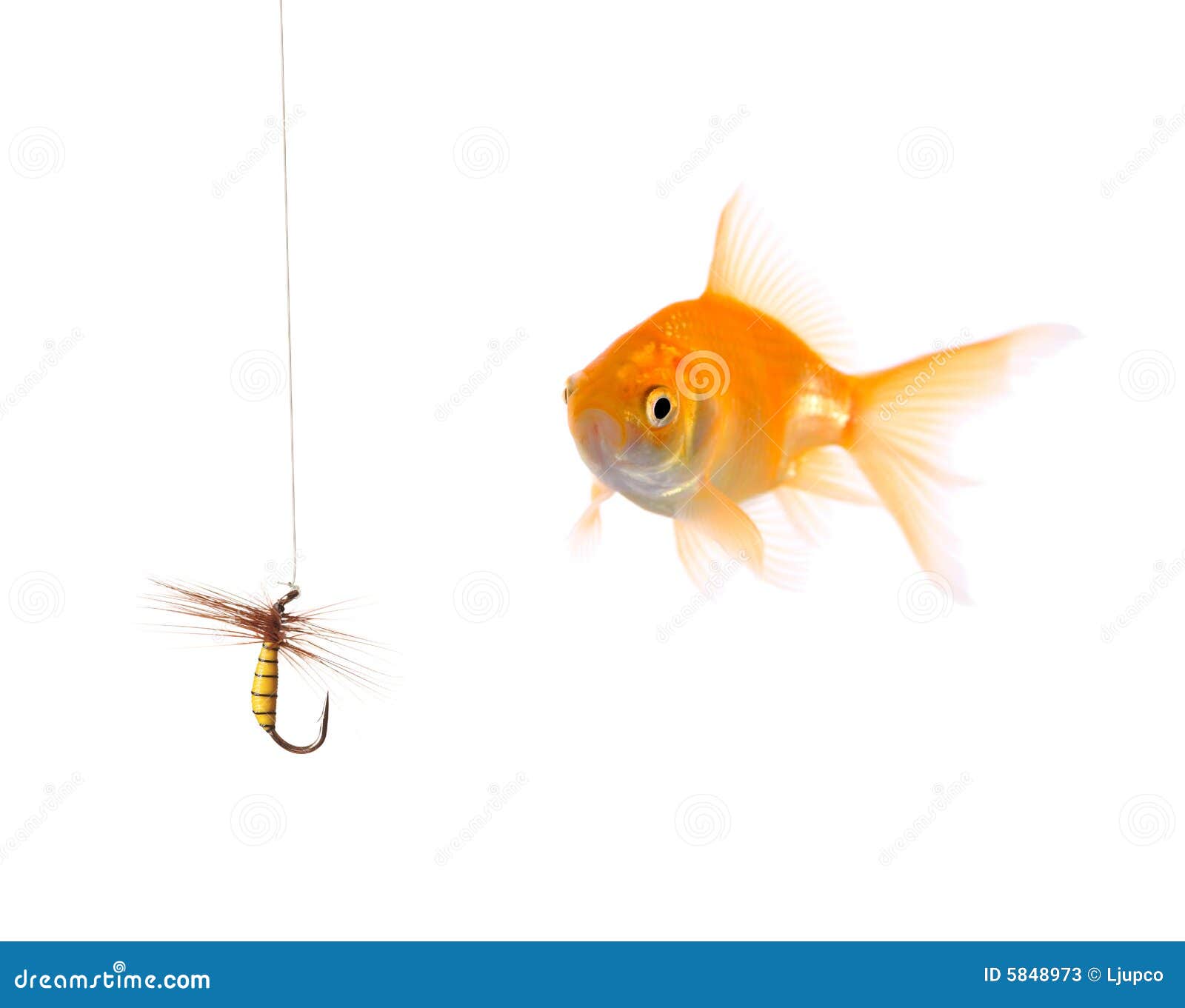 Golden Fish And A Fishing Bait Stock Photos - Image: 5848973