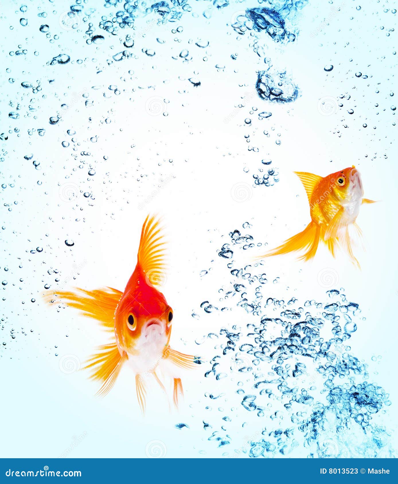 My Image 23