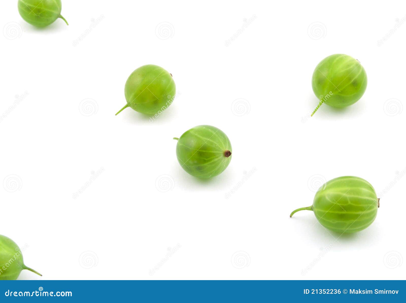 gooseberry clipart - photo #34