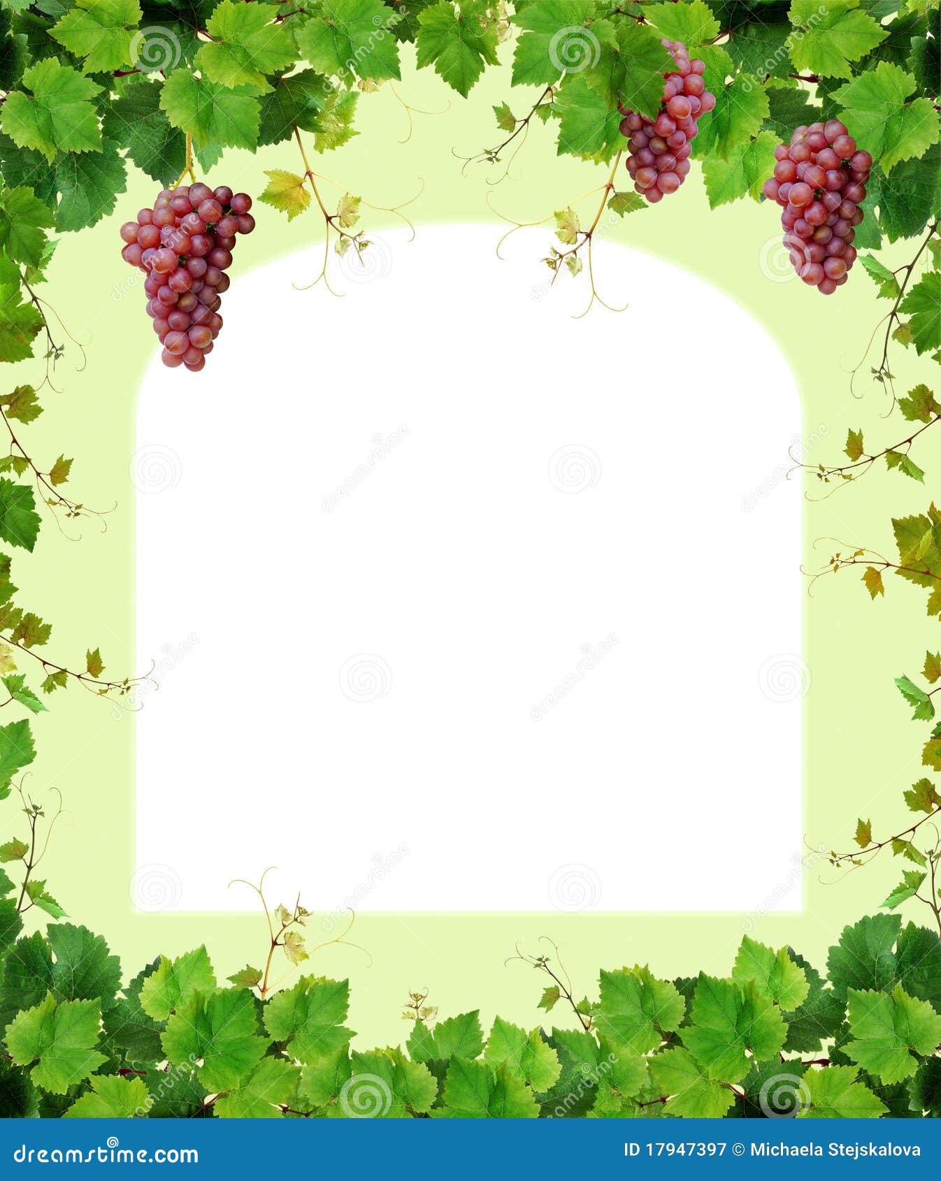 grapevine border clipart free - photo #13