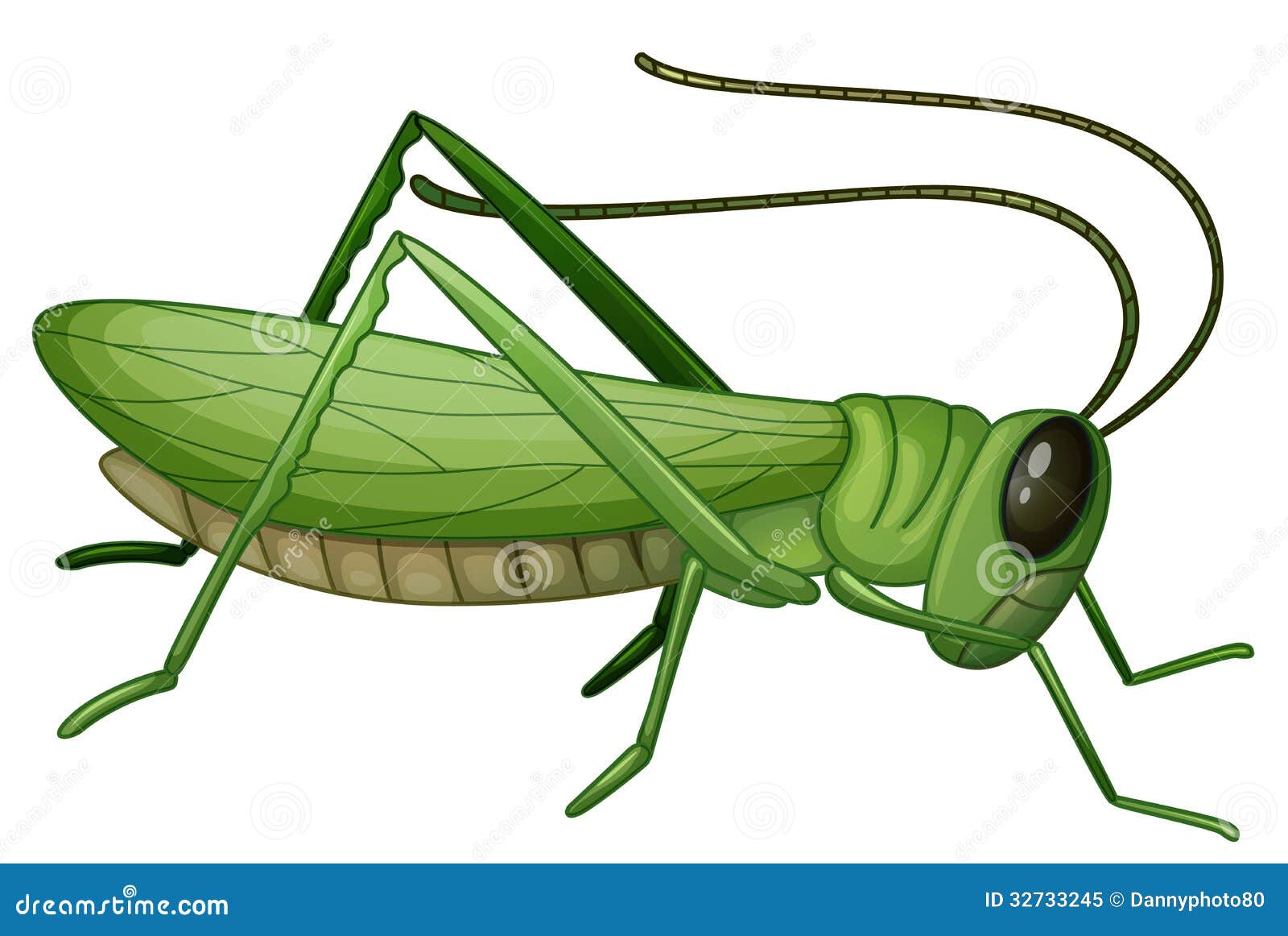 green grasshopper clipart - photo #19