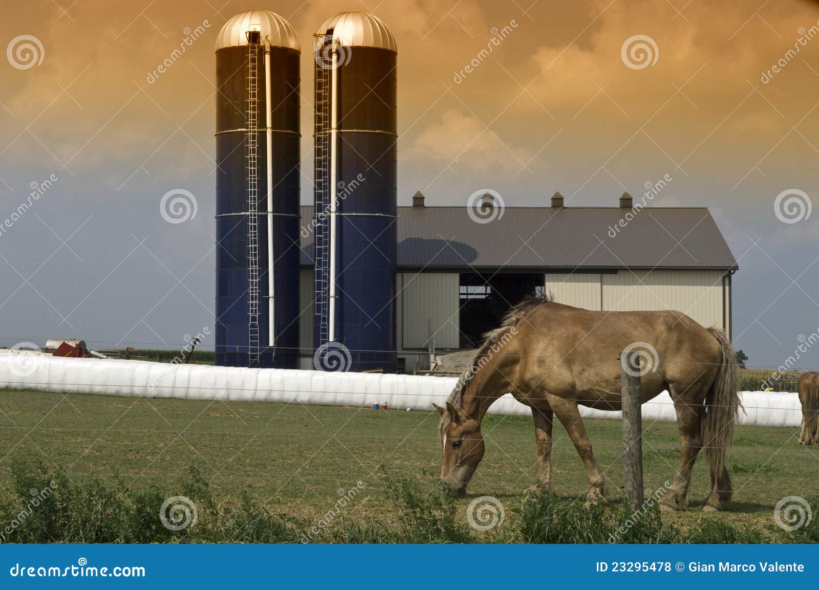 Horse Barns