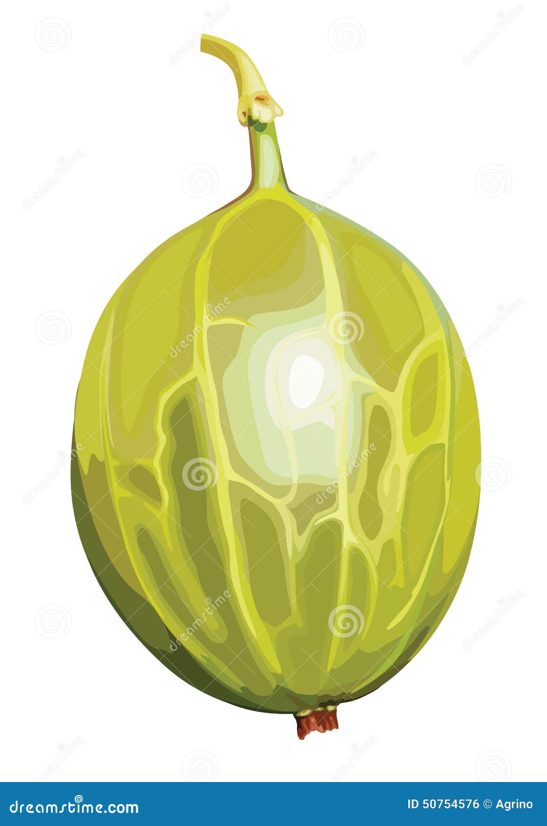 gooseberry clipart - photo #9