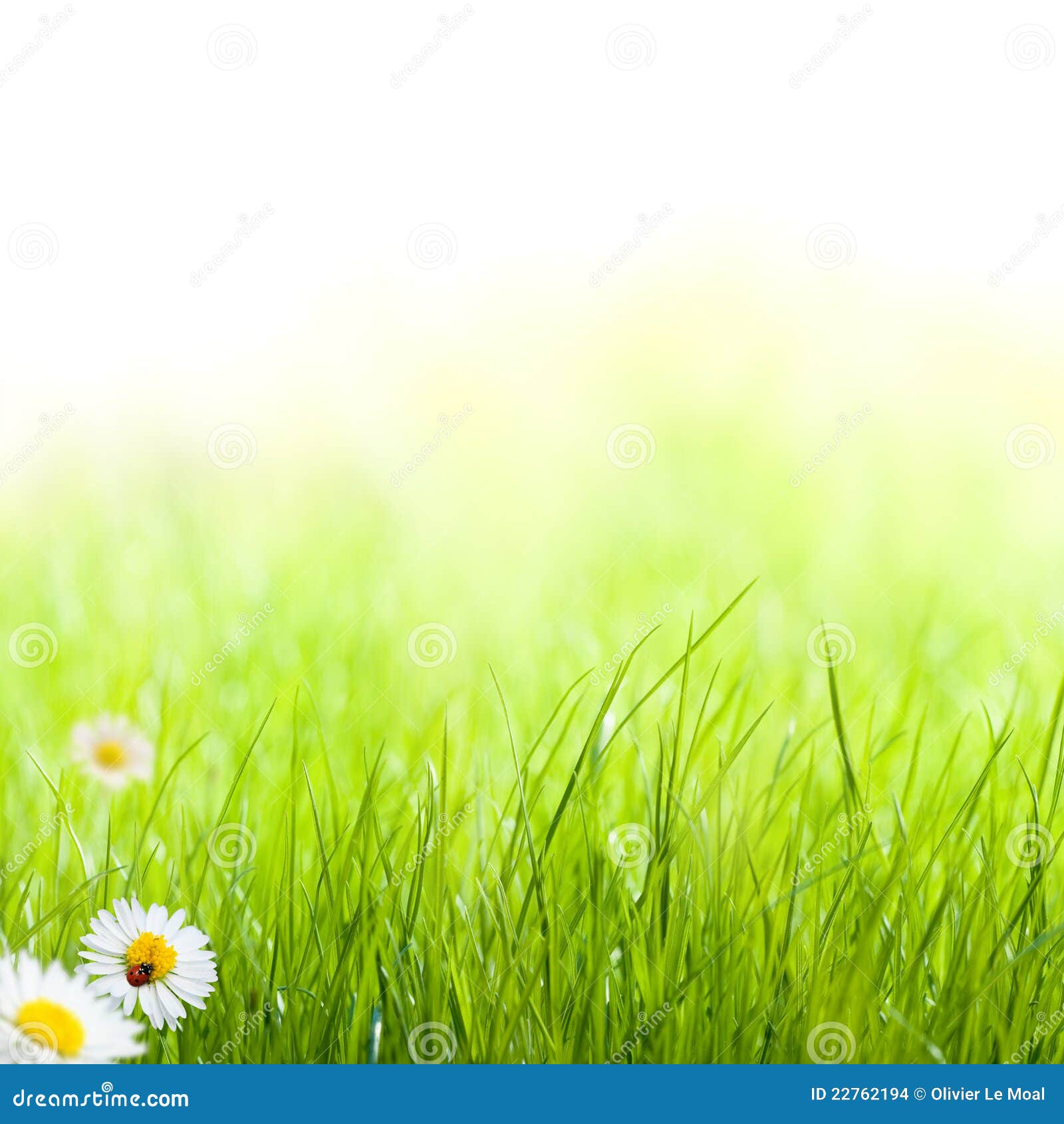 garden background clipart - photo #30