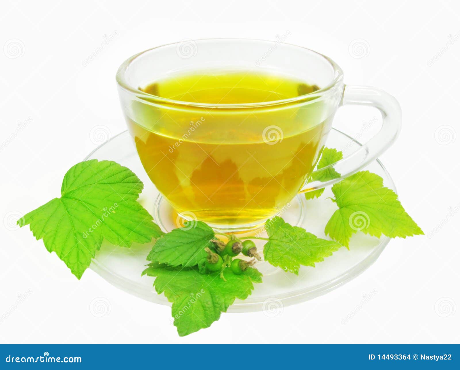 Green Herbal Tea With Currant Extract Stock Images Image 14493364