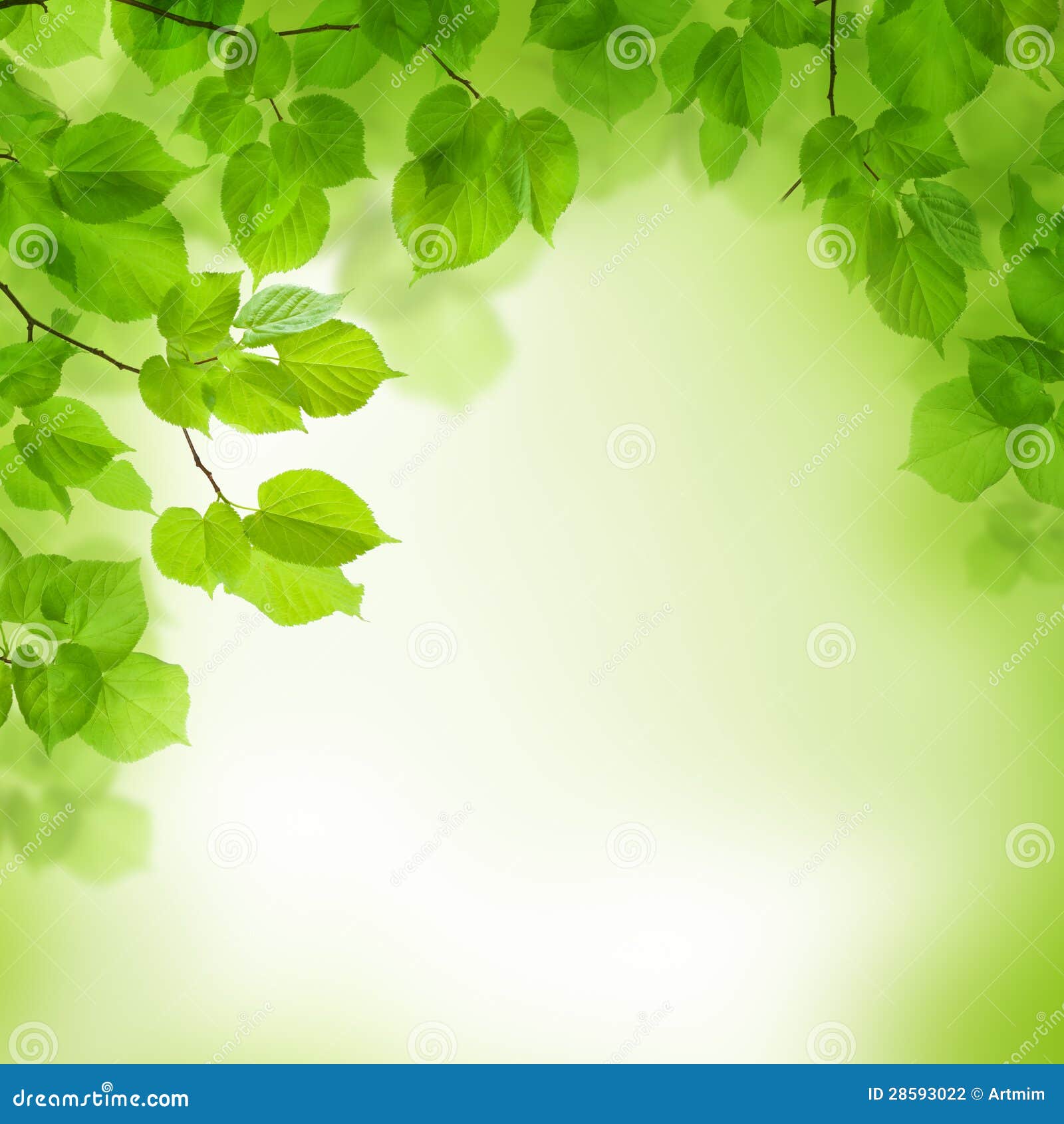 Green Leaves Border Abstract Background Stock Photography Image