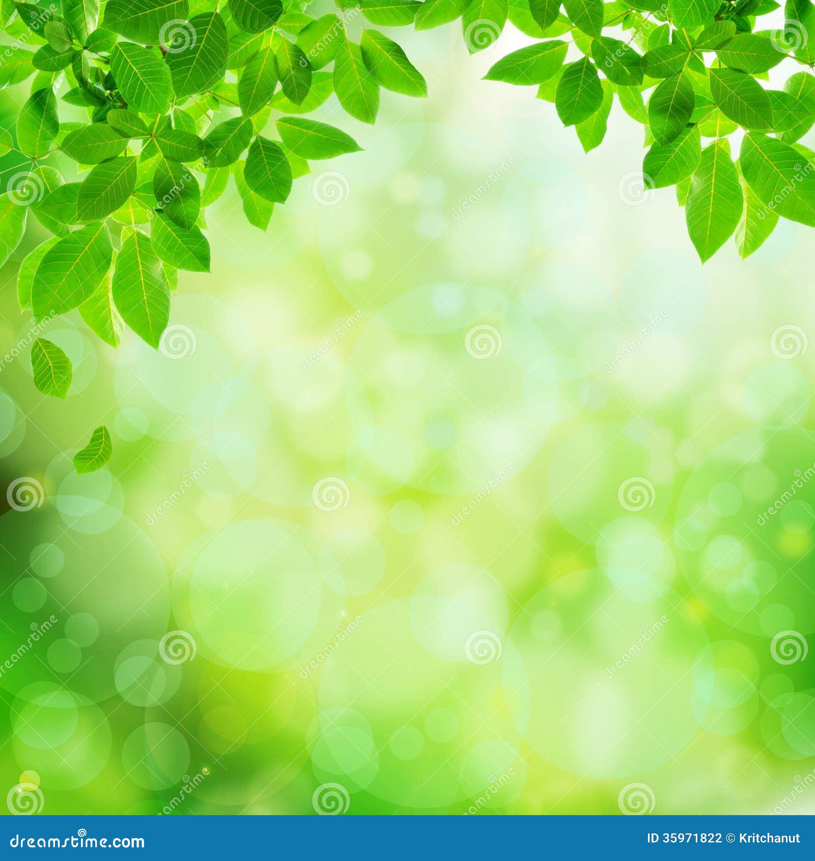 Green Natural Abstract Background Stock Photography ...