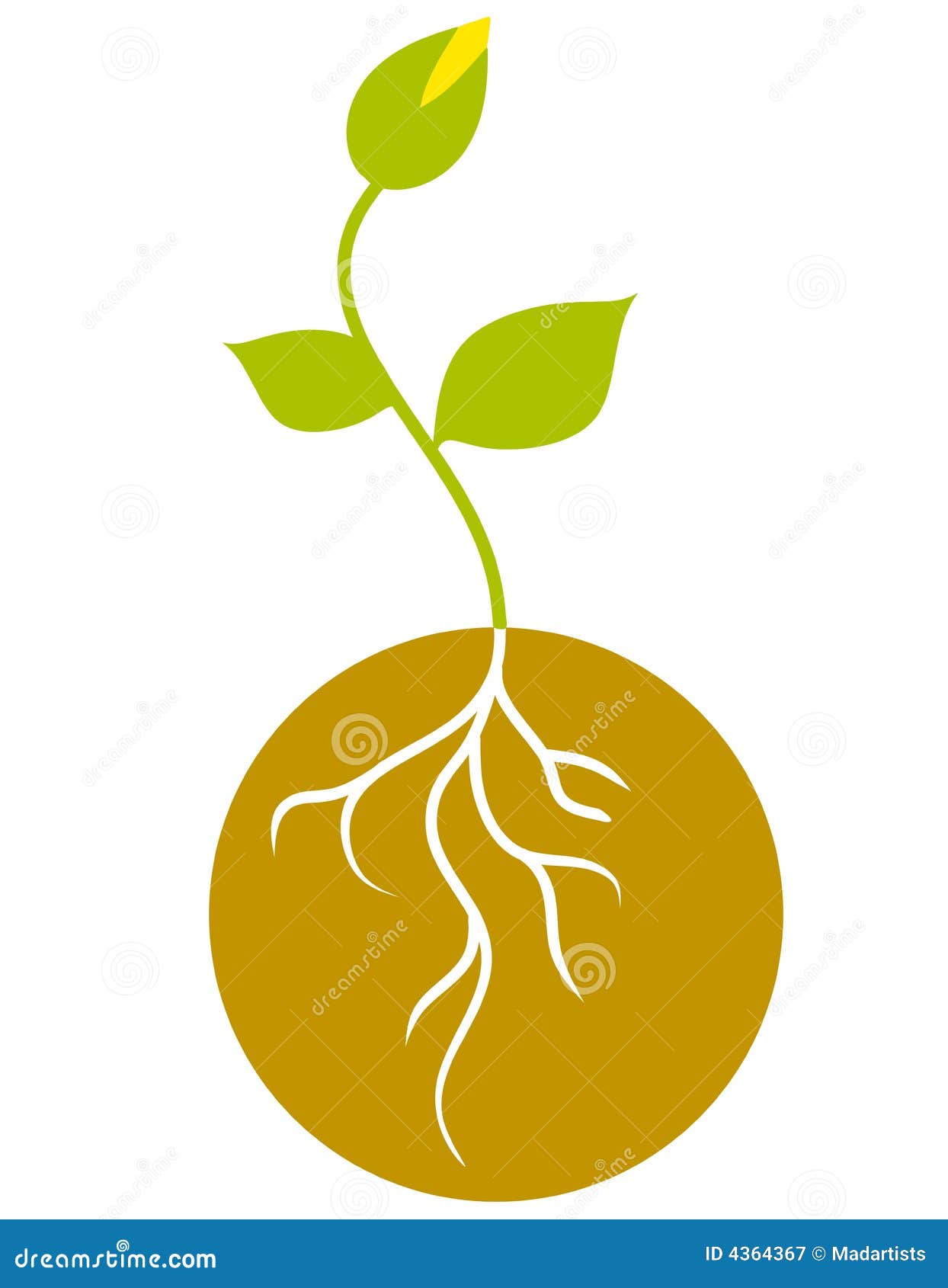 root vegetables clipart - photo #50