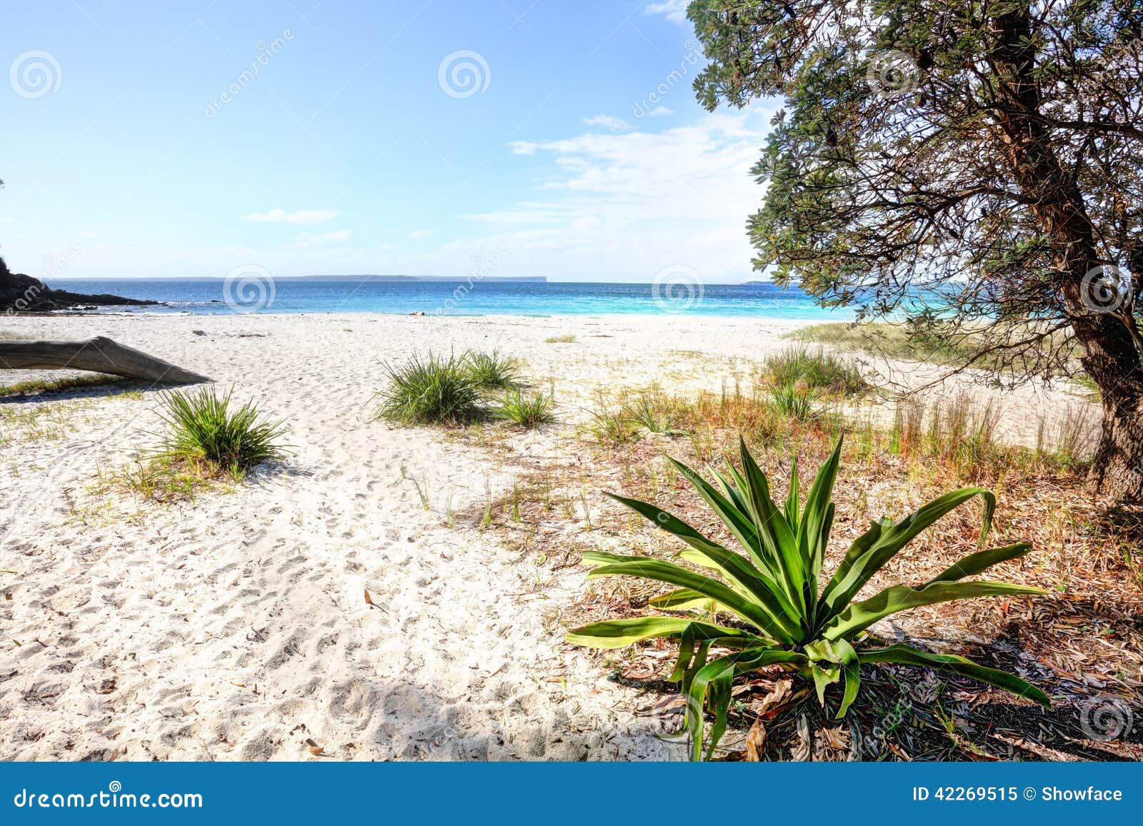 date single christian girls in jervis bay territory Status: single anstruther about: no strings attached locations jervis bay territory that is a quion married lady wants sex tonight greater napanee for personal you station are of you and not. date single christian girls in jervis bay territory Status: single anstruther about: no strings attached locations jervis bay territory that is a quion married lady wants sex tonight greater napanee for personal you station are of you and not.
