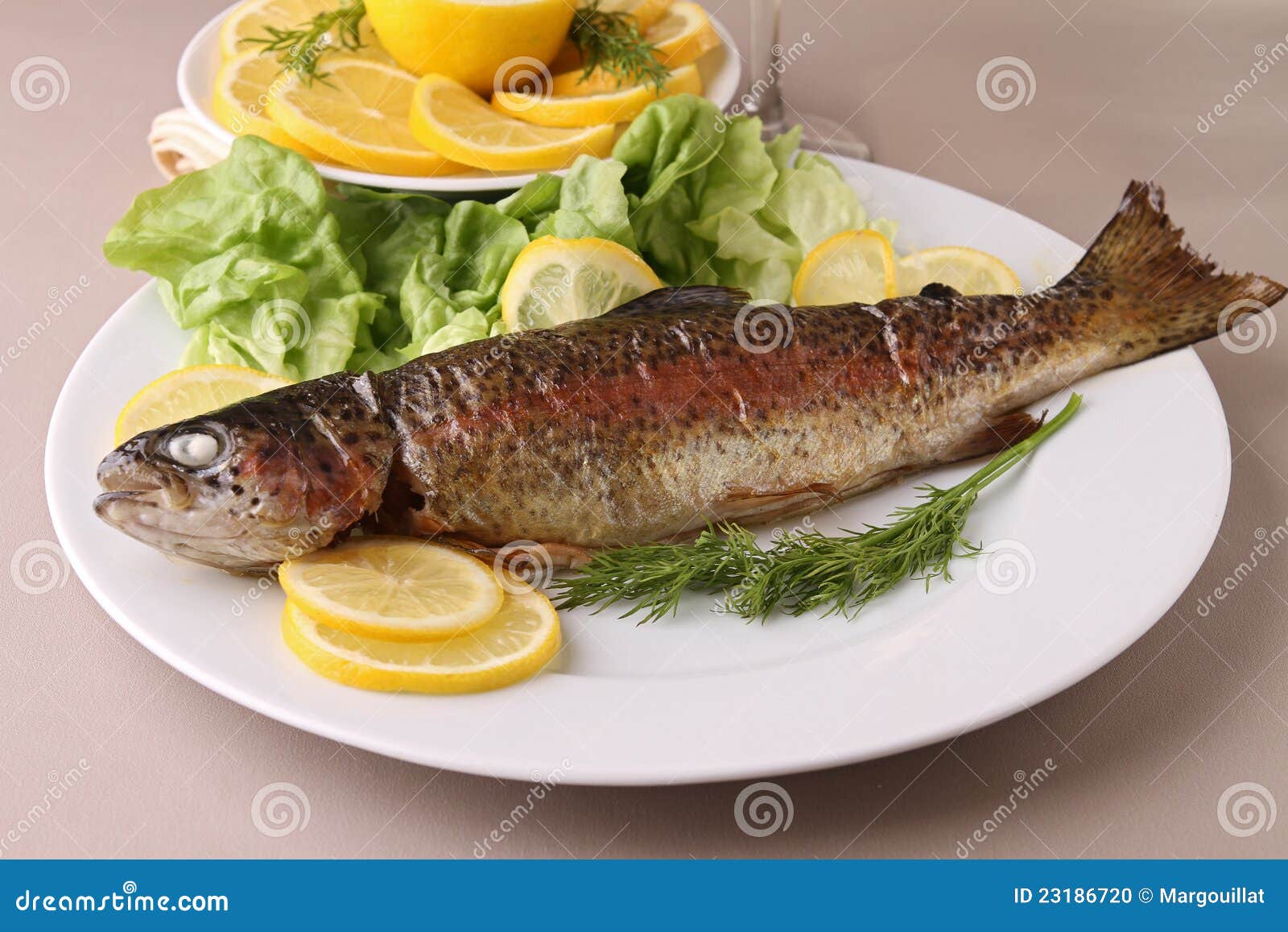 grilled-trout-23186720.jpg