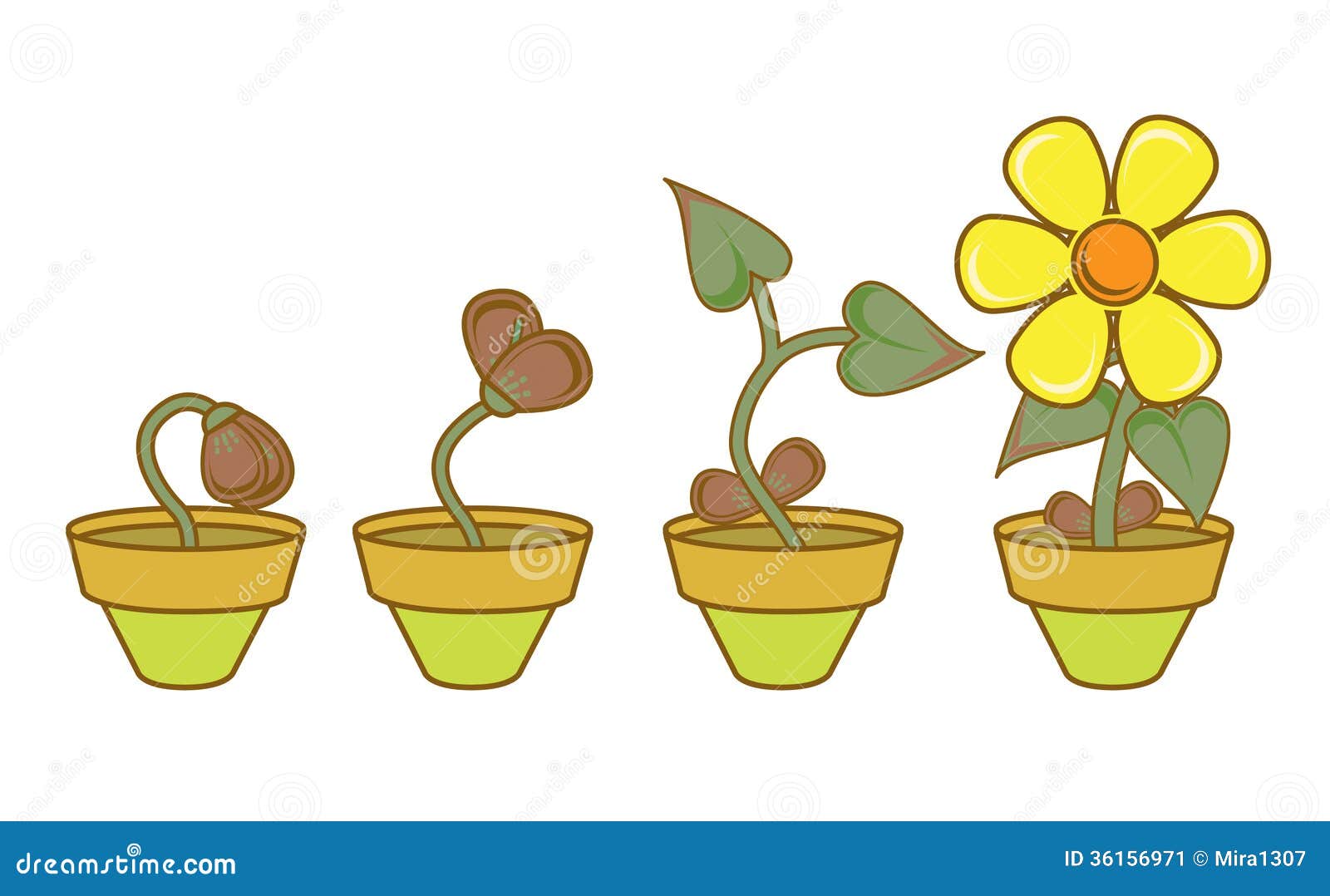 flower growing clipart - photo #16