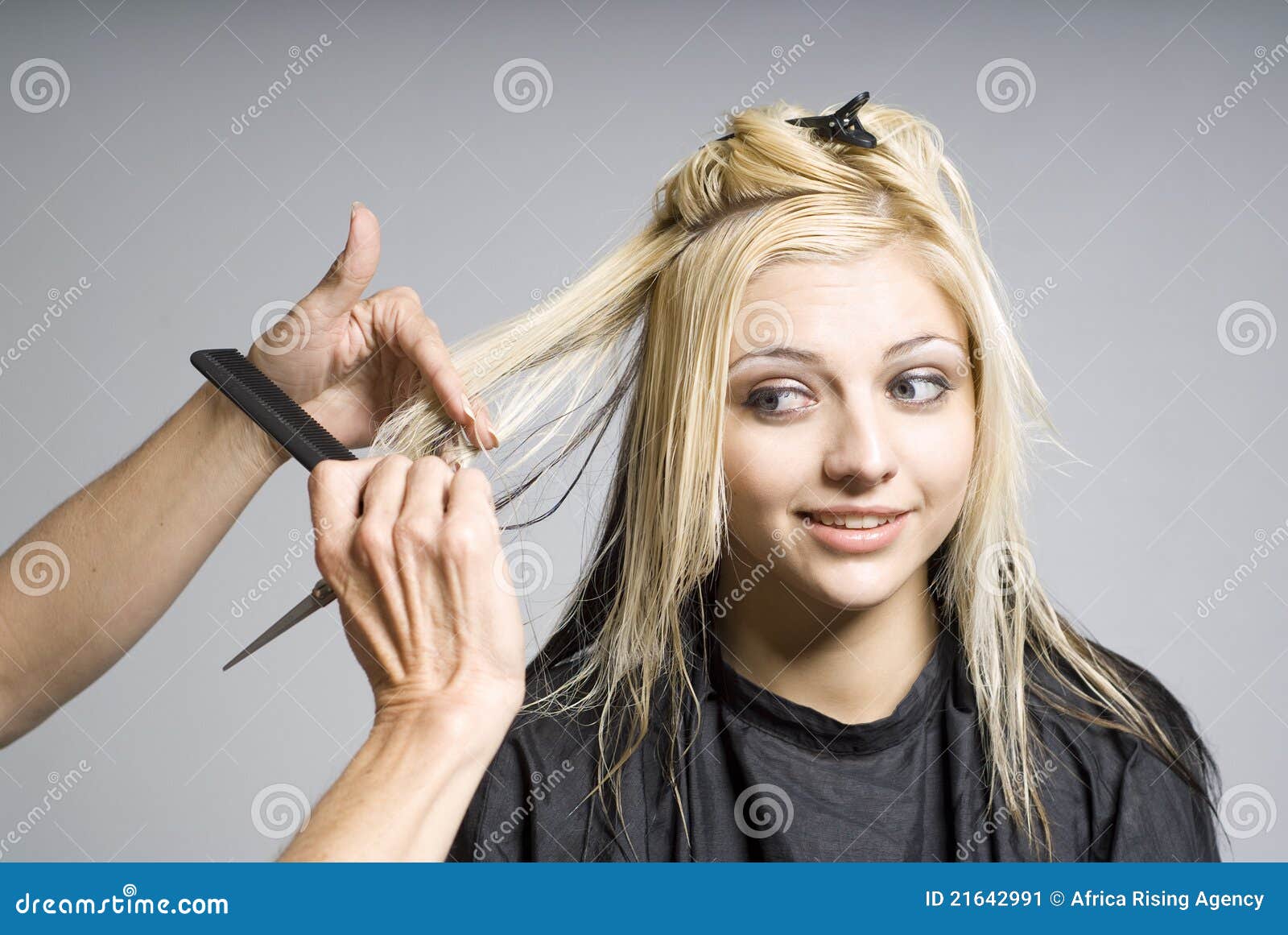 Hairdresser Cutting Hair Stock Image  Image: 21642991
