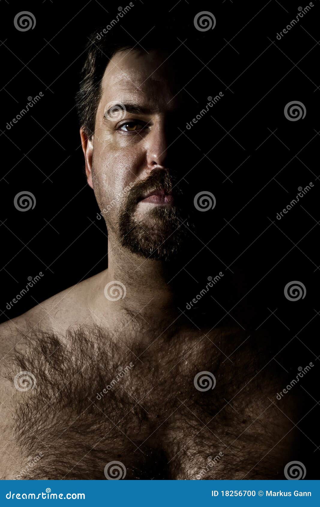 Hairy Man Stock Photo Image Of Look Lifestyle Hairy