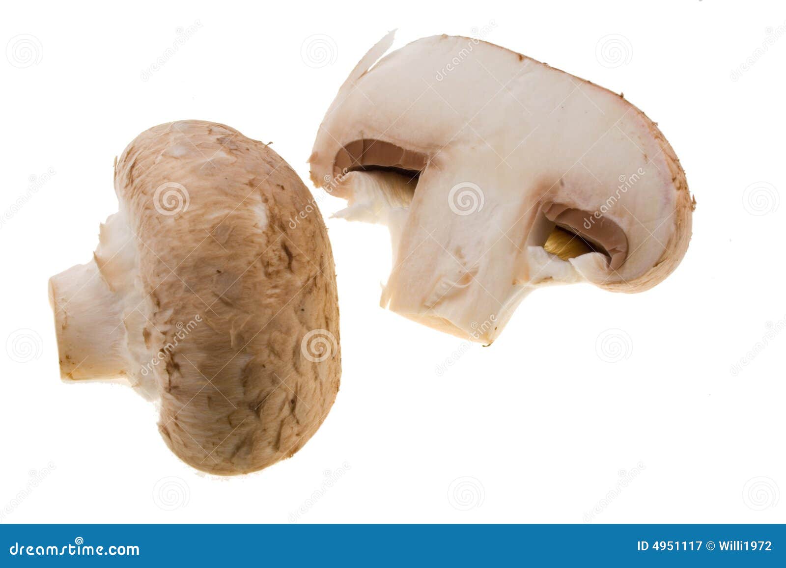 mushroom slice clip art - photo #25