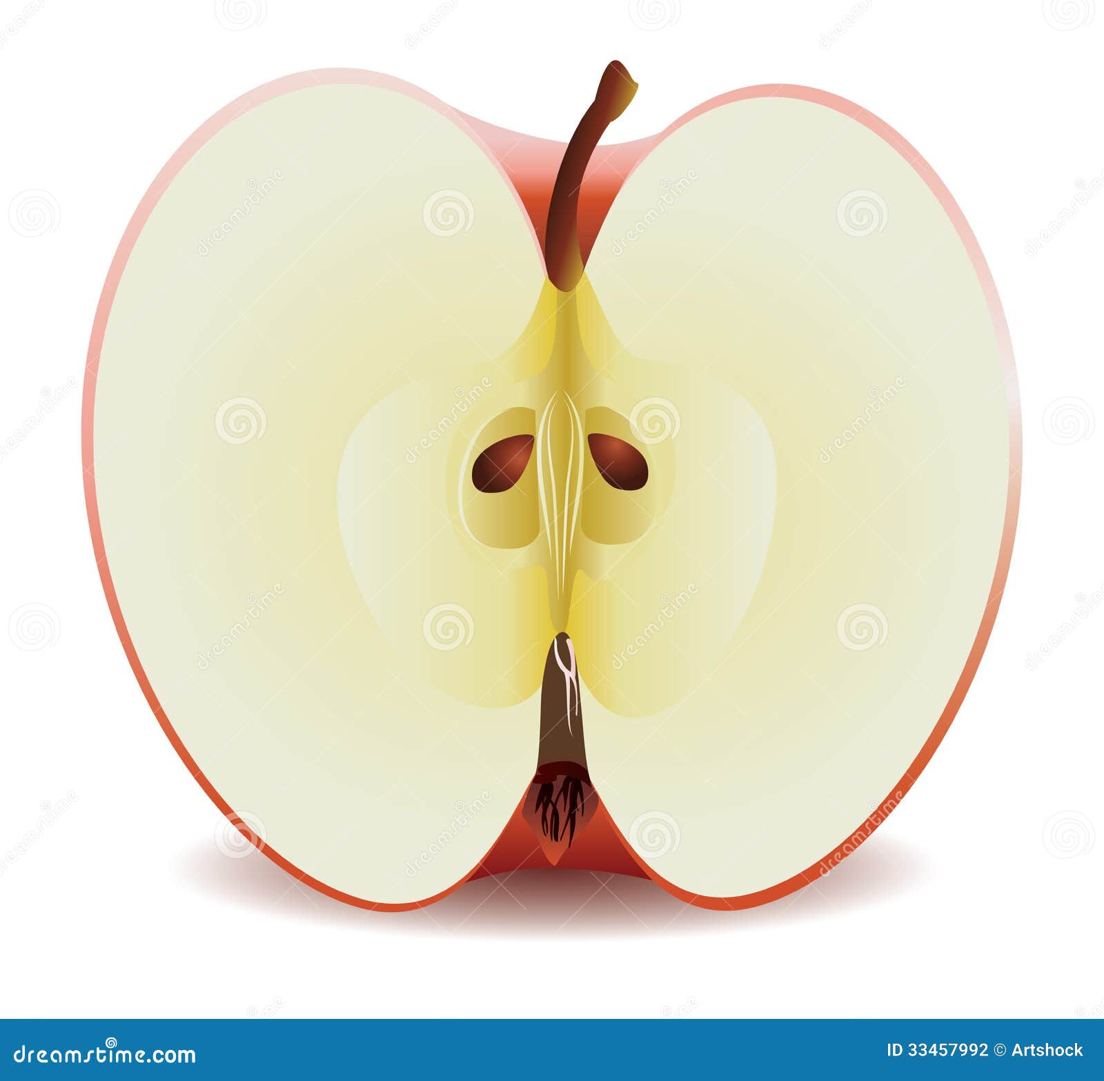 apple half clipart - photo #7