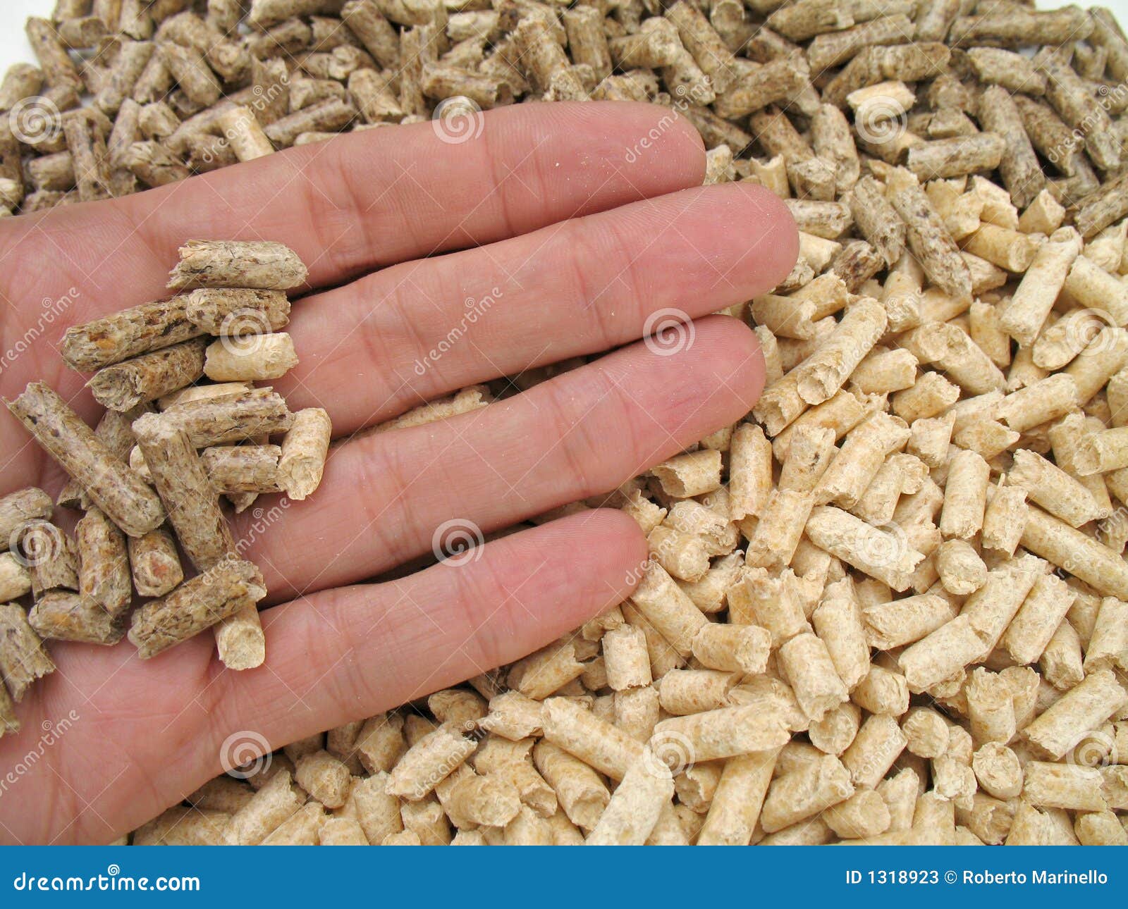 Hand is giving wood pellets for fireplaces and stoves.