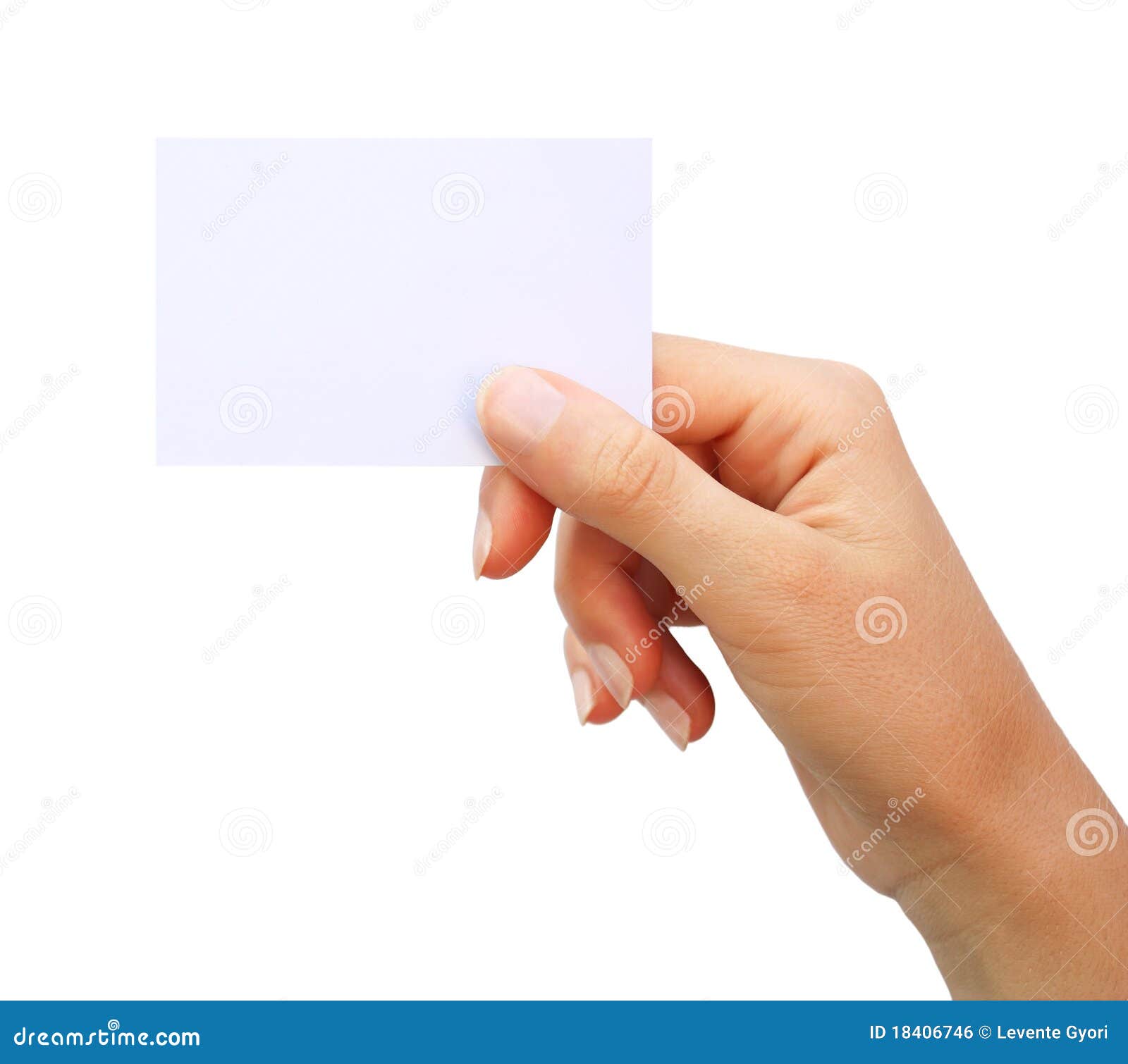 hand holding blank business card isolated royalty free