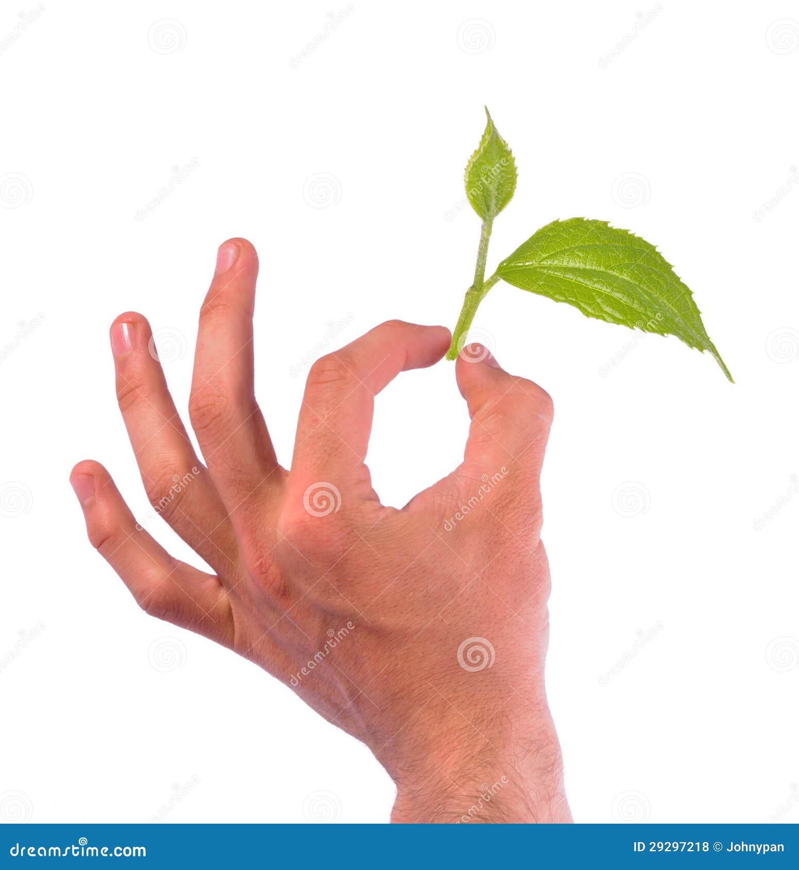 Hand Holding Leaf Royalty Free Stock Photos Image 29297218