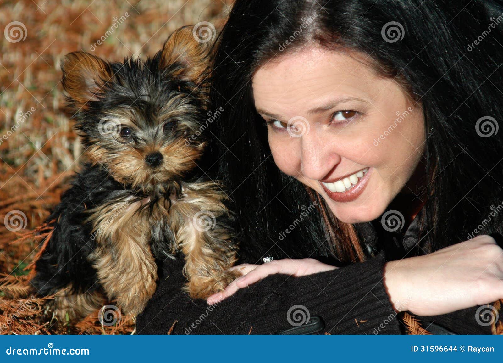 miniature yorkie grown yorkie poo dogs grown breeds picture miniature yorkie grown yorkie poo dogs grown breeds picture