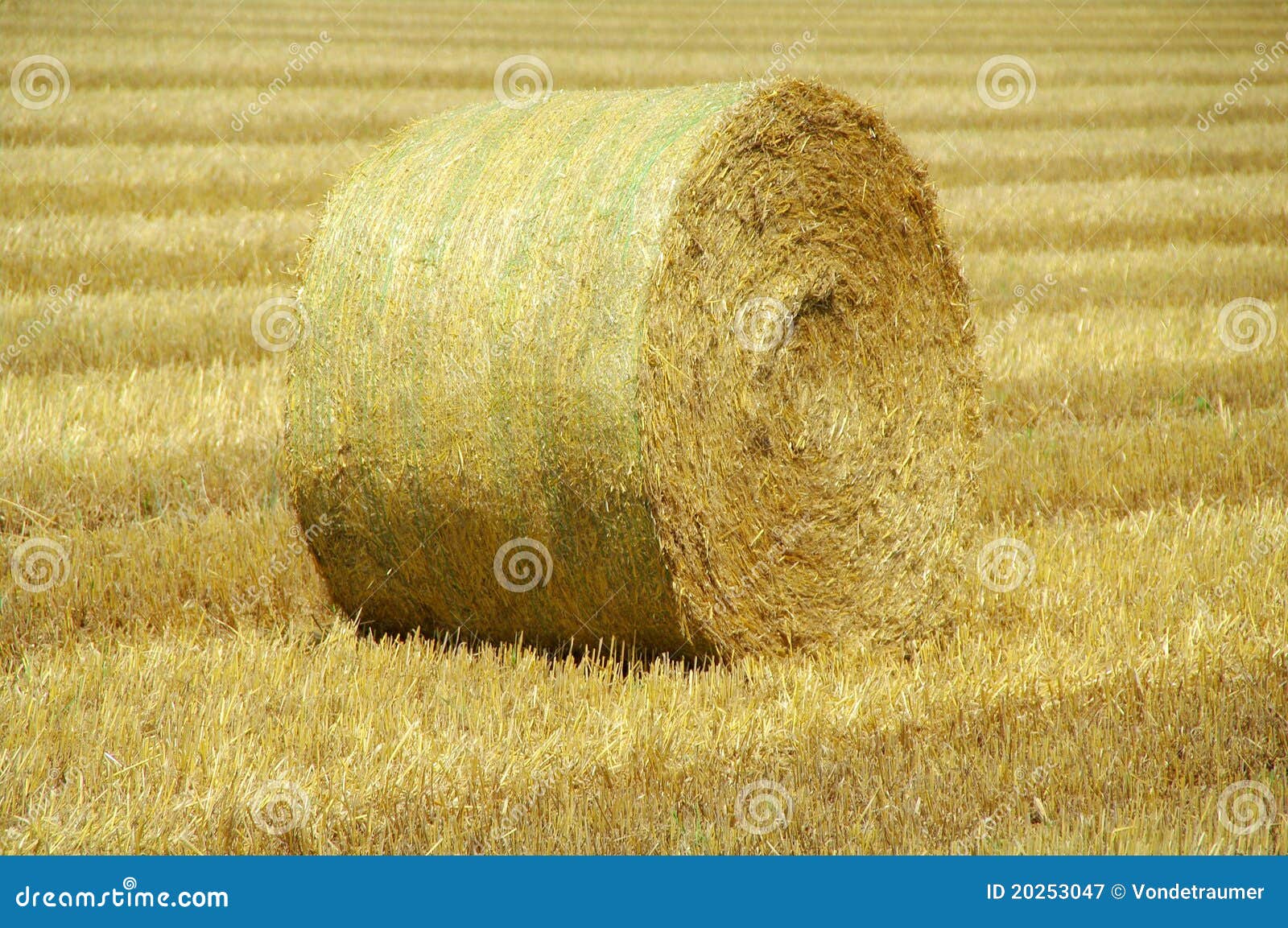 Royalty Free Stock Photography: After harvest