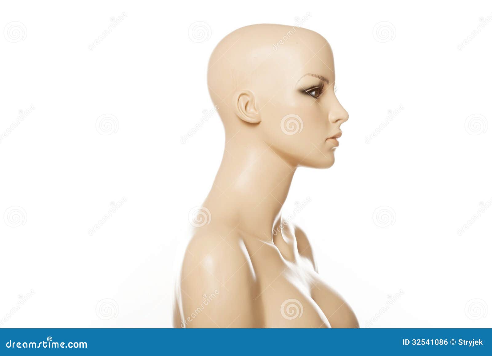 Mannequin In Profile Of A Mannequin In Profile Isolated On White