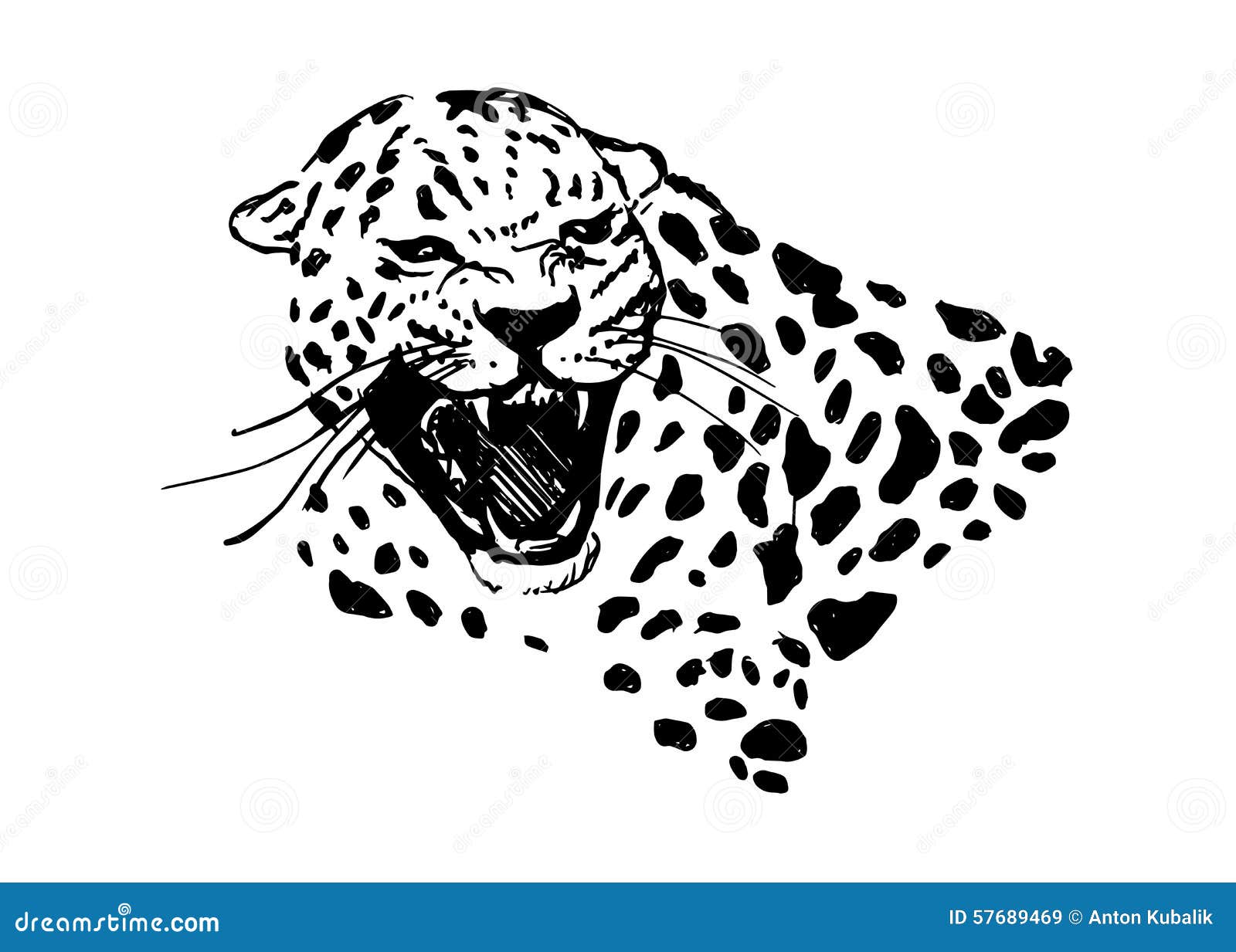 jaguar head clipart - photo #34