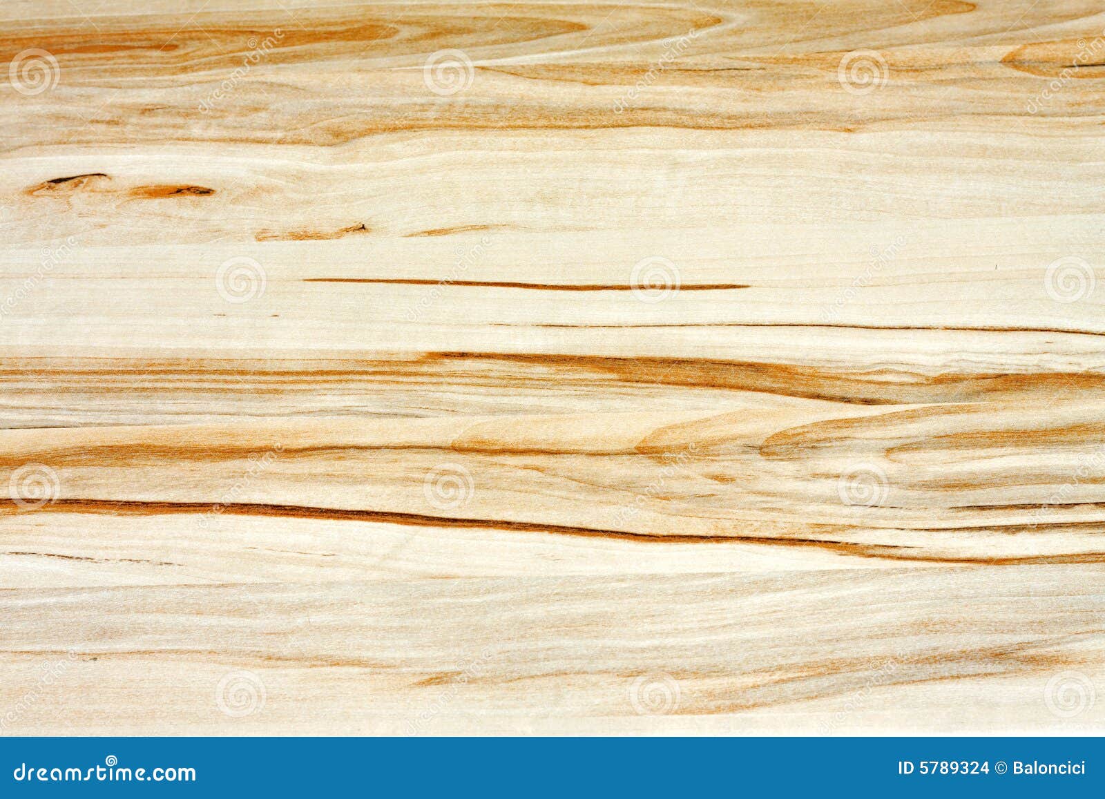 Helles Holz Stockbilder - Bild: 5789324
