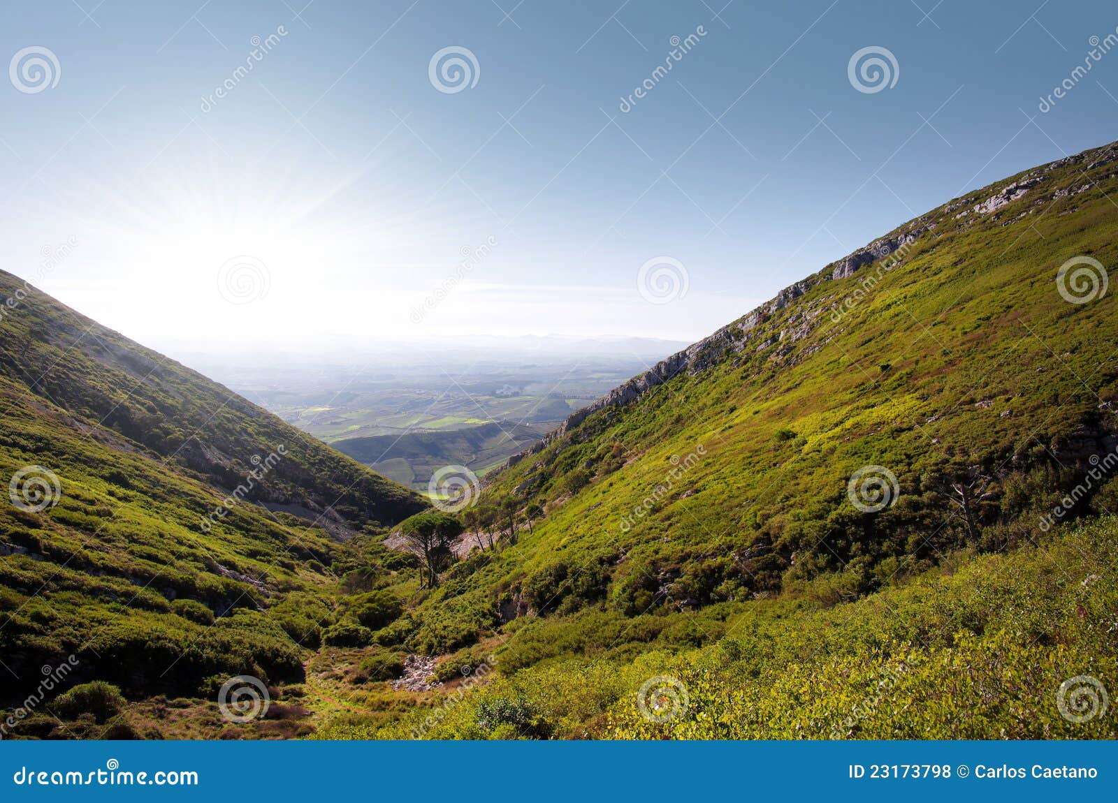 Hills landscape