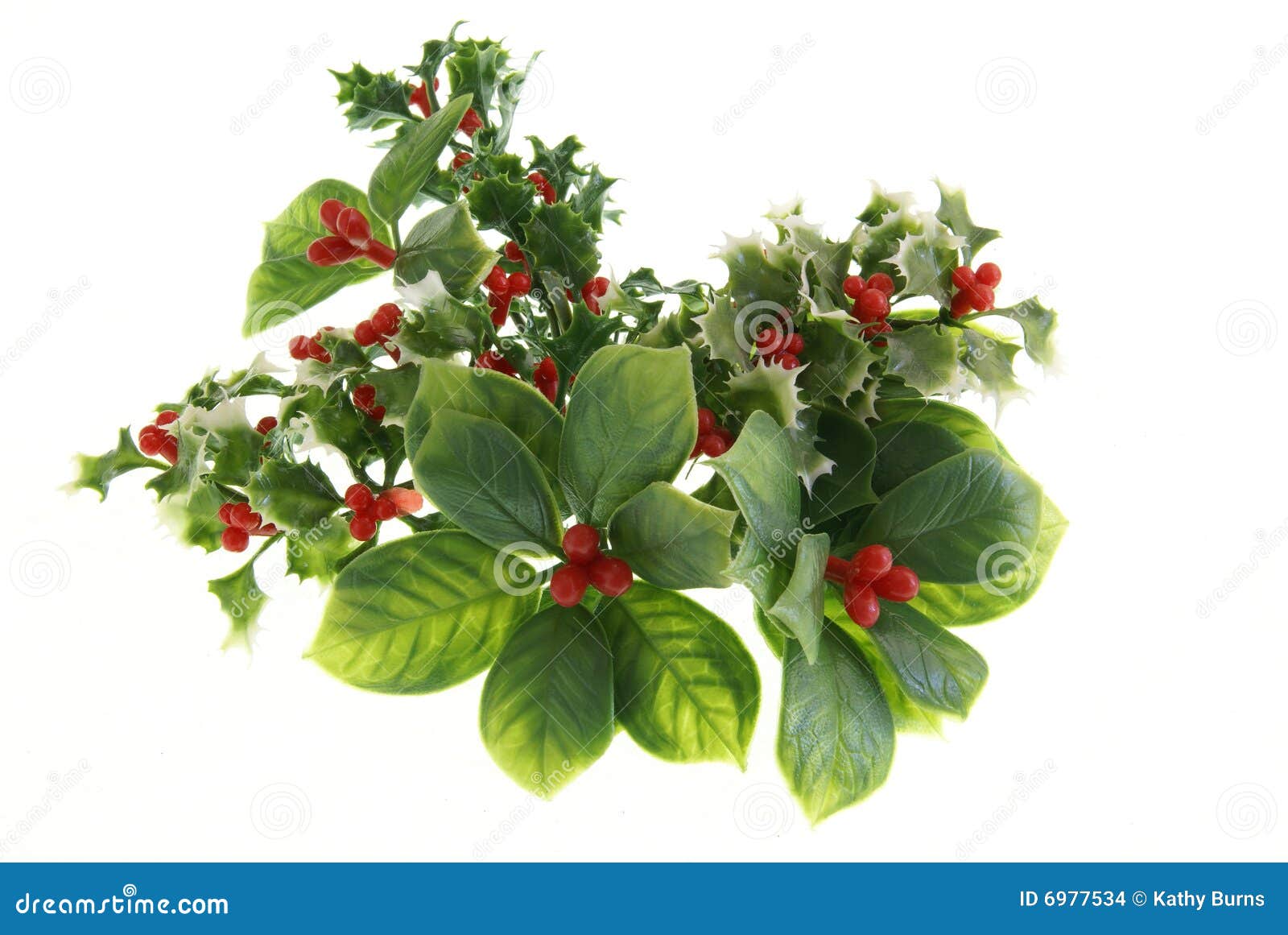 holiday greenery stock images image 6977534 holiday greenery stock images image 6977534