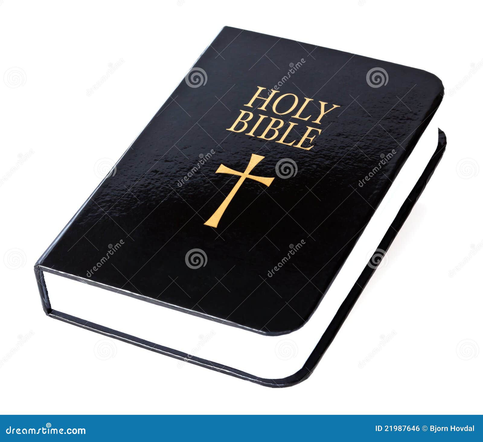 holy bible royalty free stock image image 21987646 christmas white tree