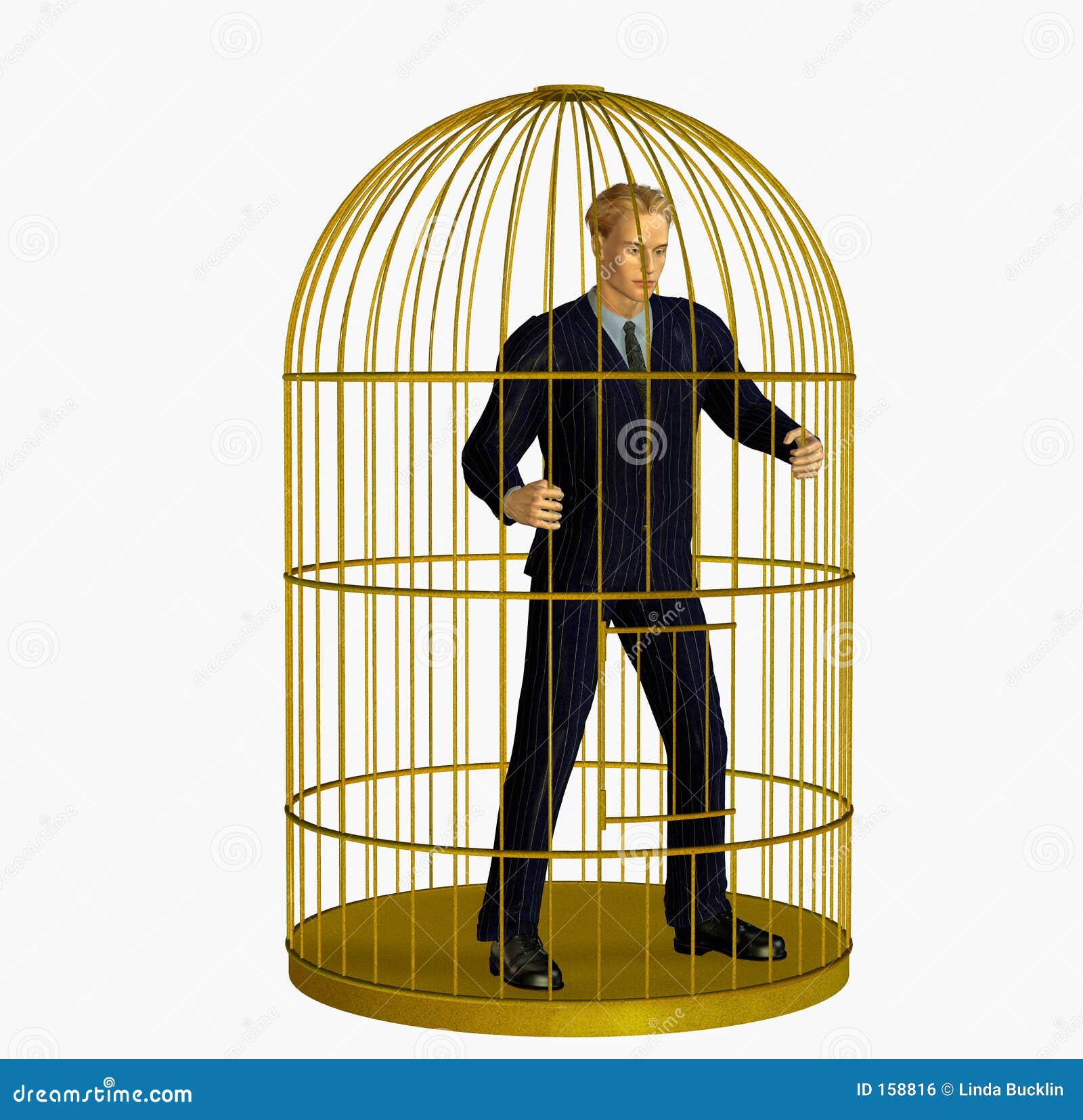 My Image 23
