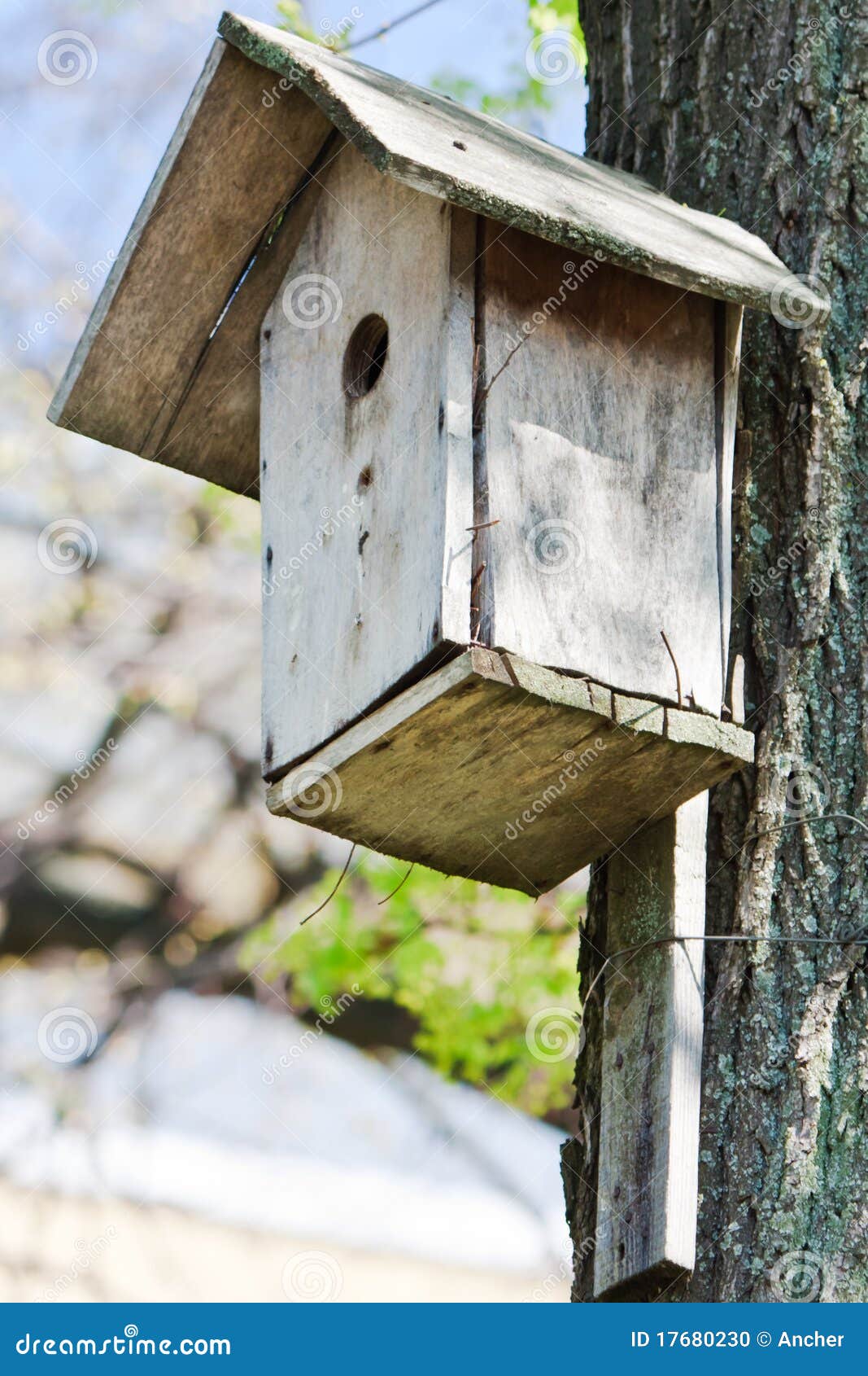 Free Download Birds House Tree ...