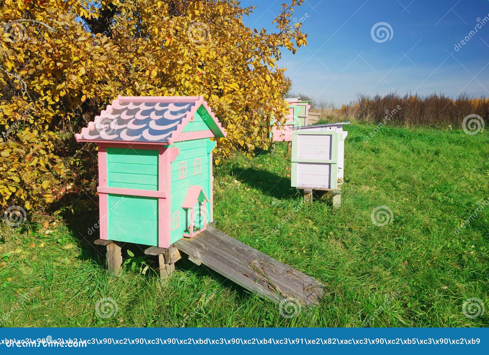 Honey Bee Hives