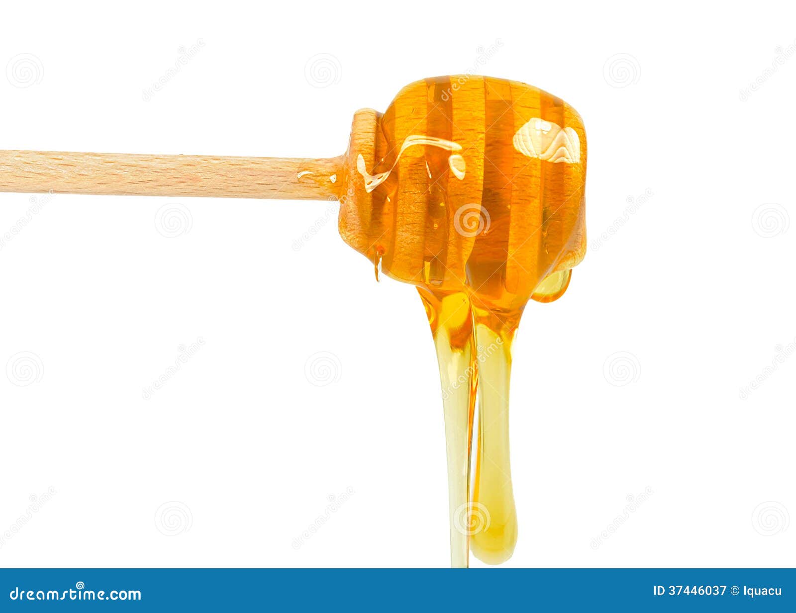 honey dripping clipart - photo #46