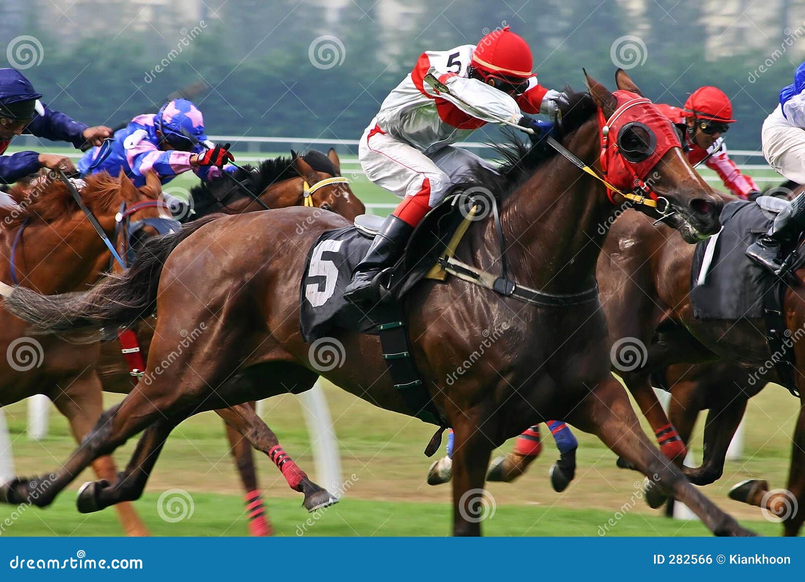 horse-racing-royalty-free-stock-image-image-282566