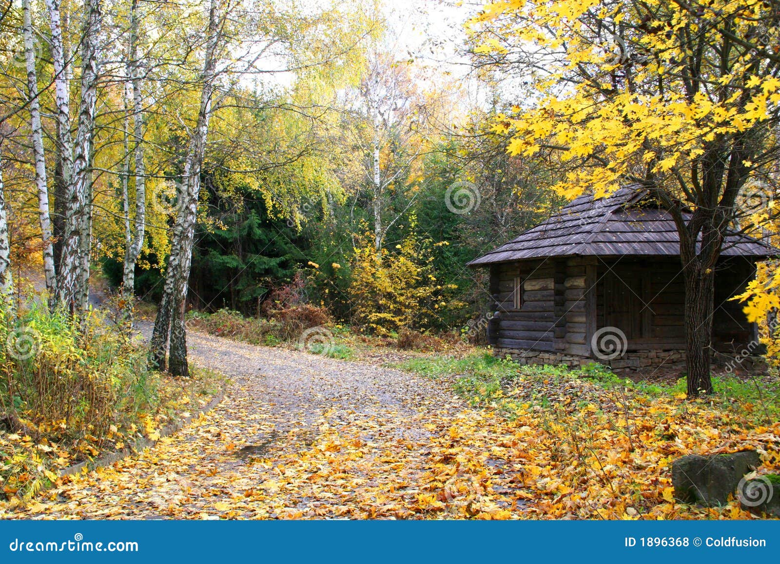 Royalty Free Stock Photos: House in a forest - Autumn Landscape