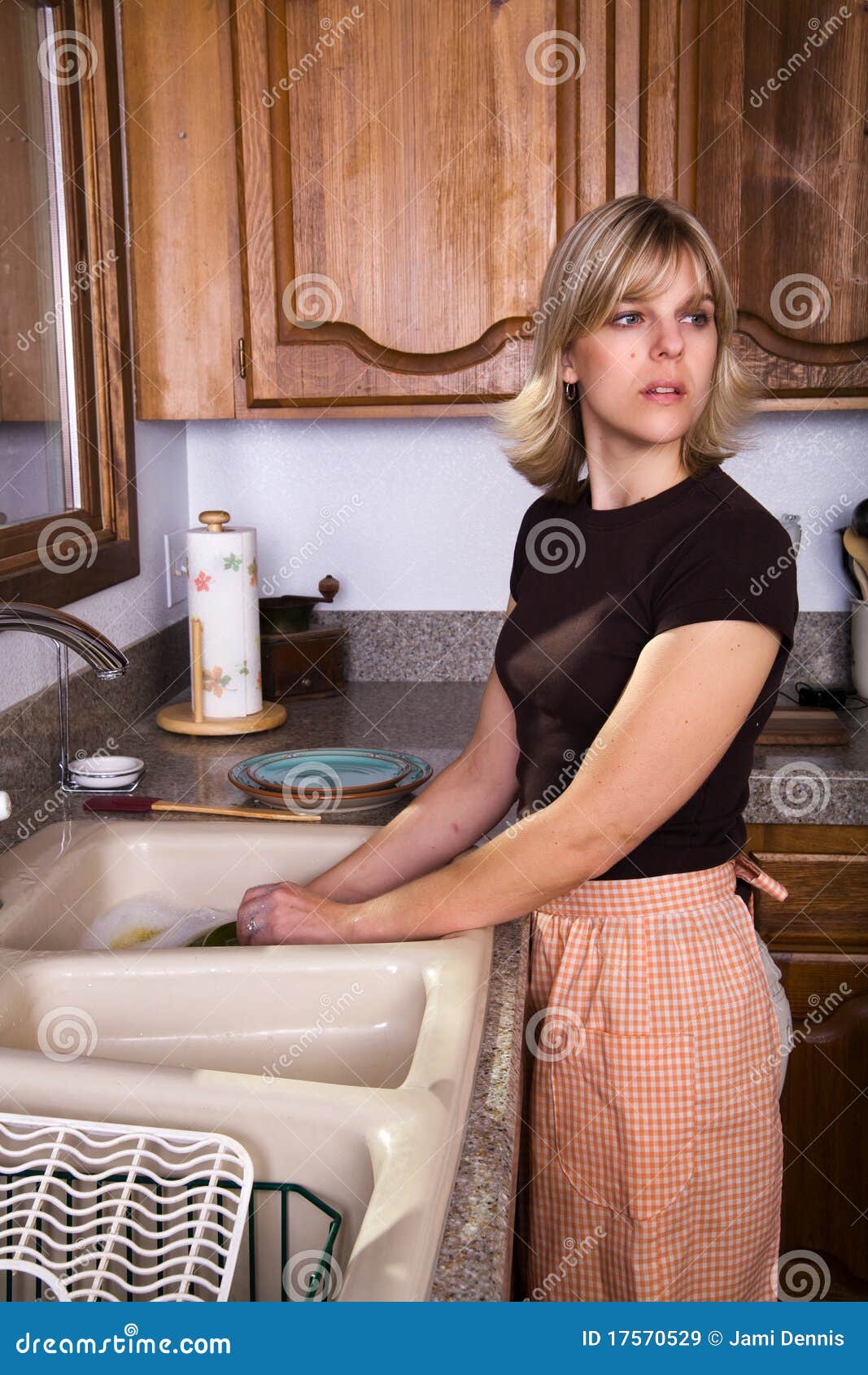 Housewife Doing The Dishes Royalty Free Stock Images Image 17570529 