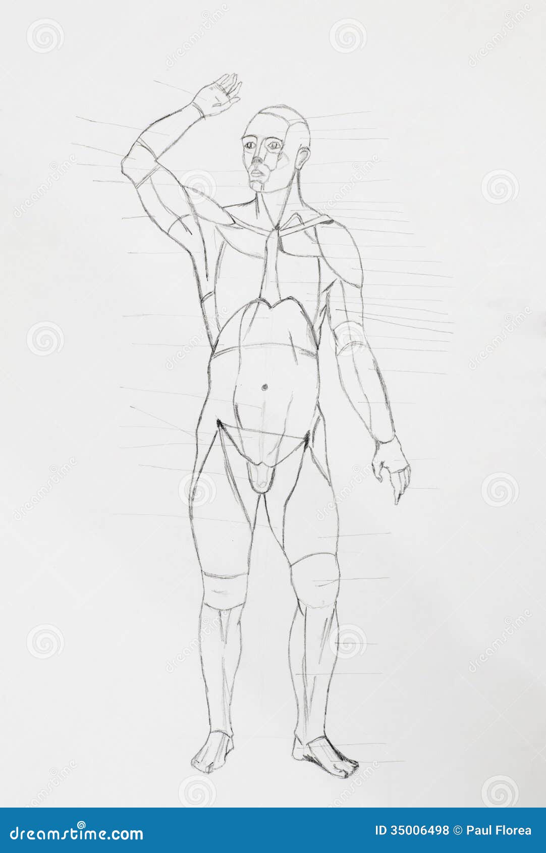 Human Front Body Pencil Drawing Royalty Free Stock Photos - Image: 35006498
