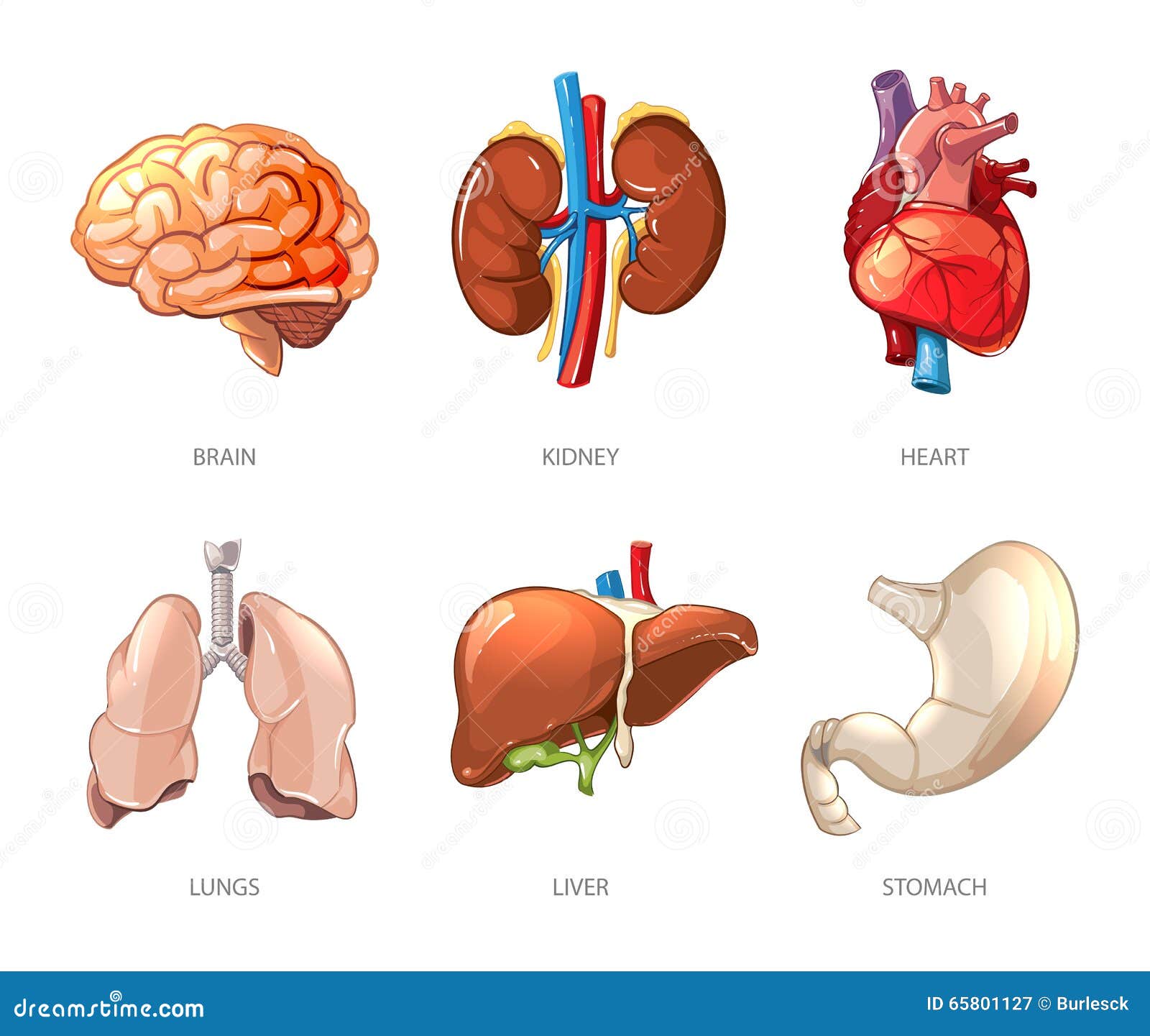 download traditional and analytical