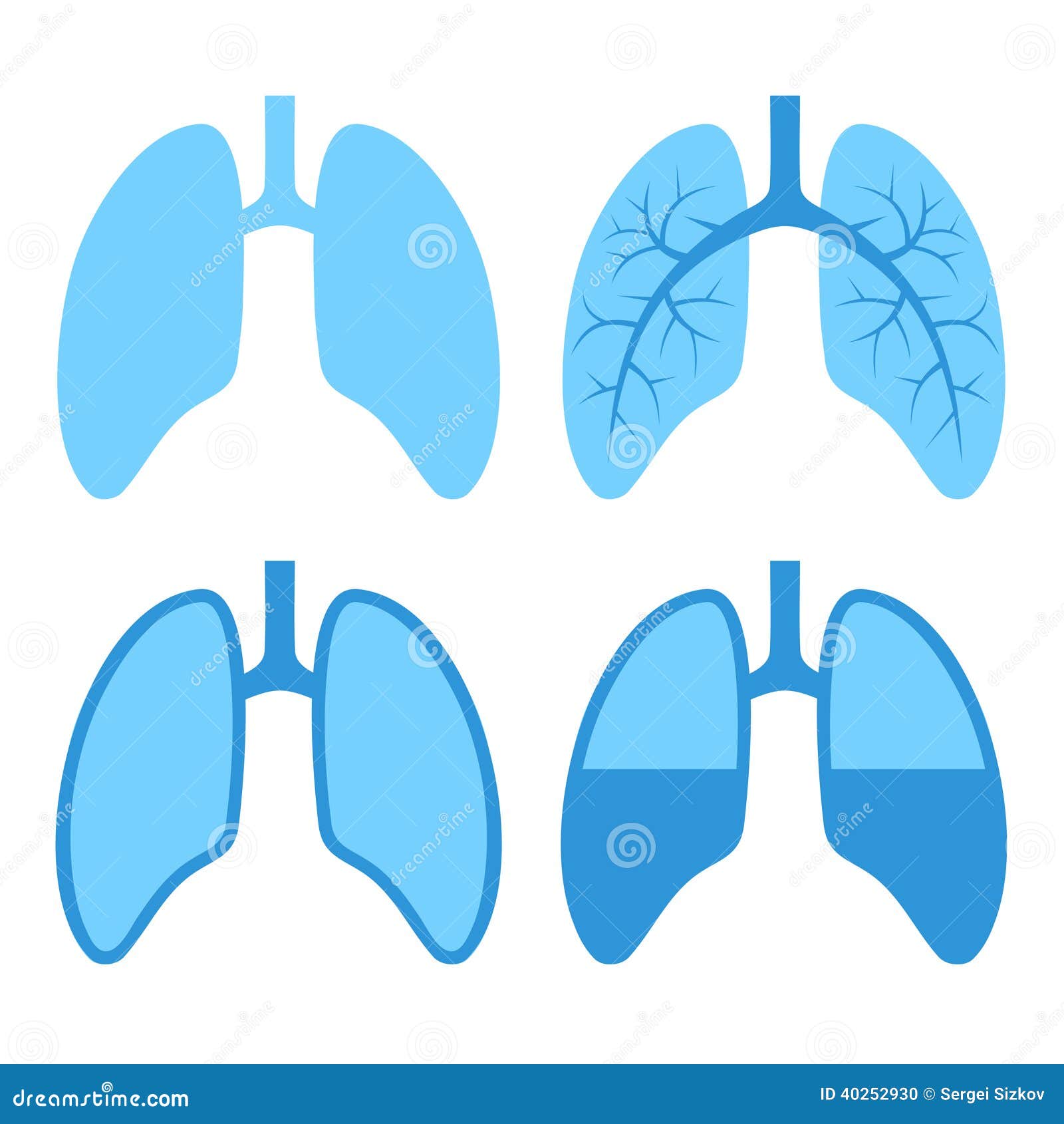 lungs clipart vector - photo #8
