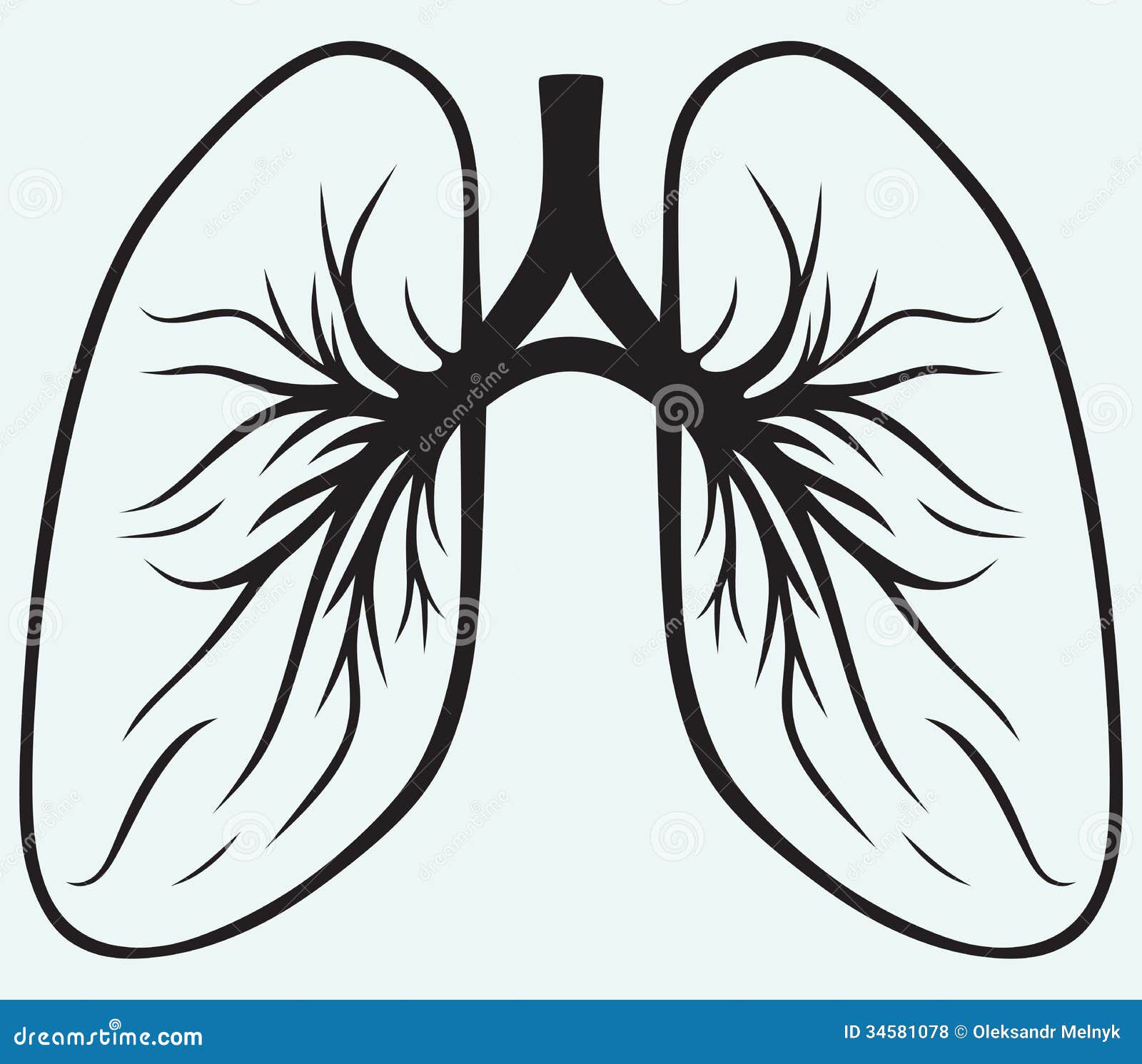 lungs clipart vector - photo #42