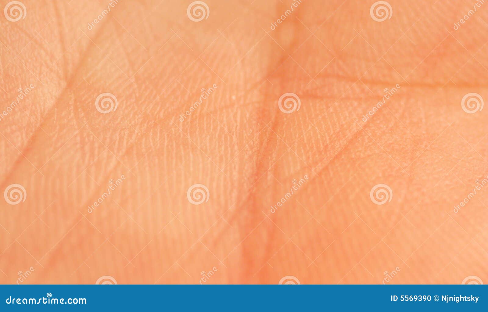 human skin macro stock photo image 55342084 human palm macro stock photo image 5569390 human skin macro stock photo image 55342084 human palm macro stock photo image 5569390