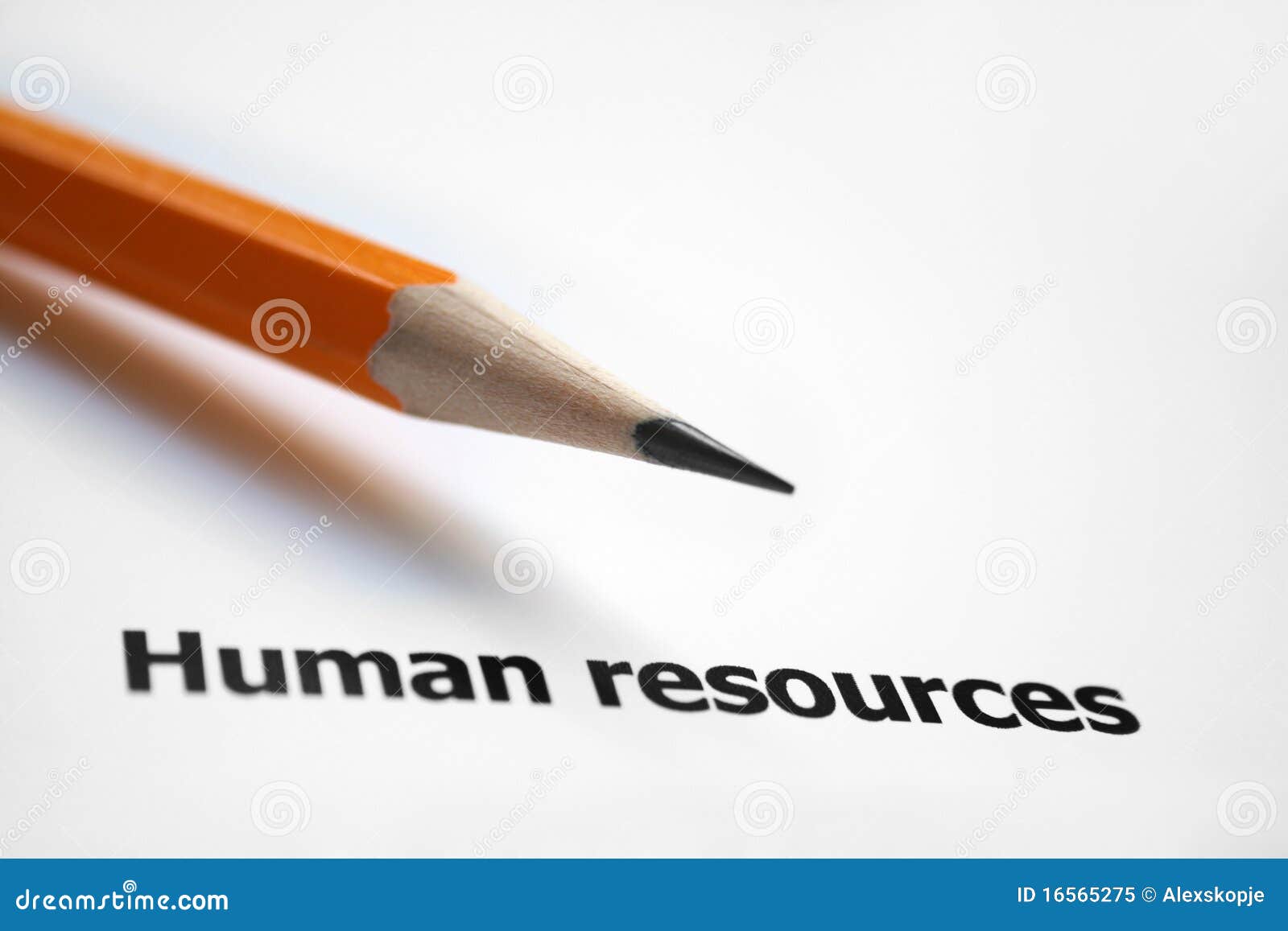 Stock options human resources