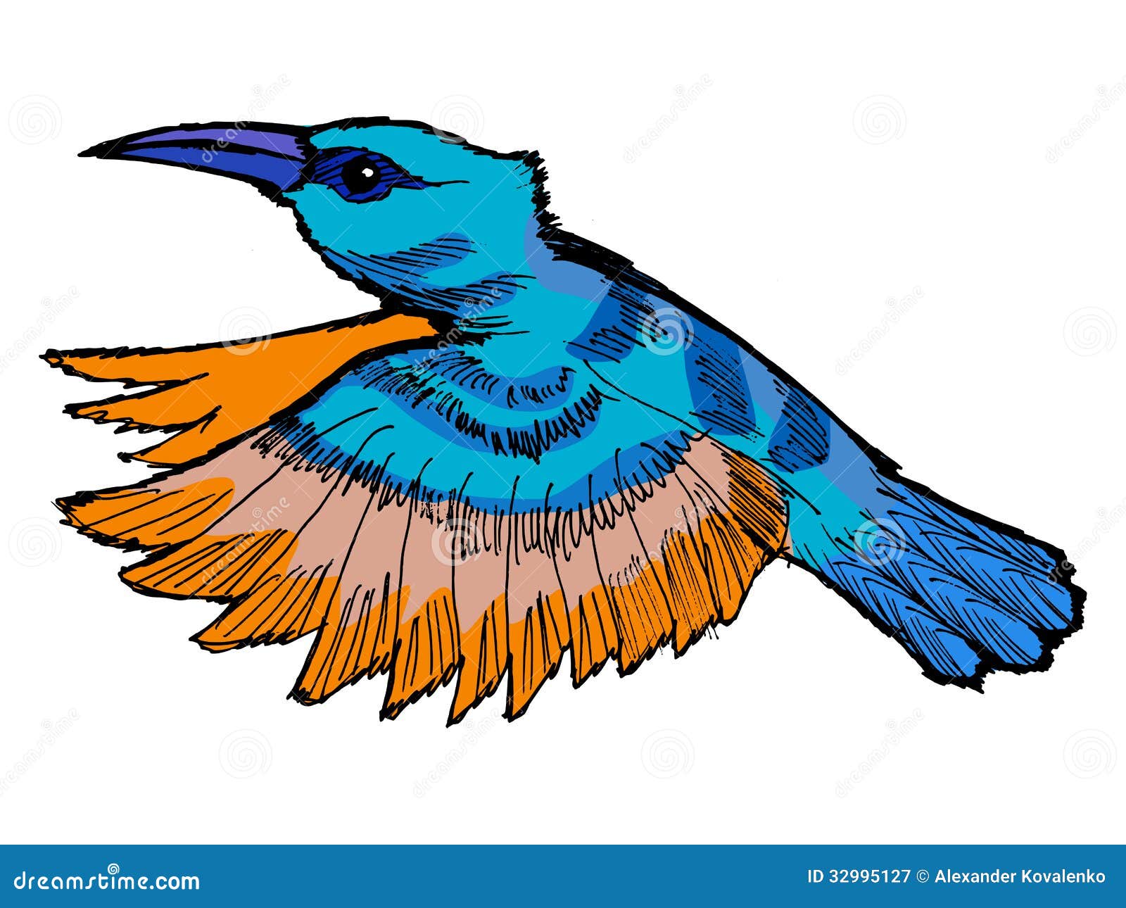 free animated hummingbird clipart - photo #36