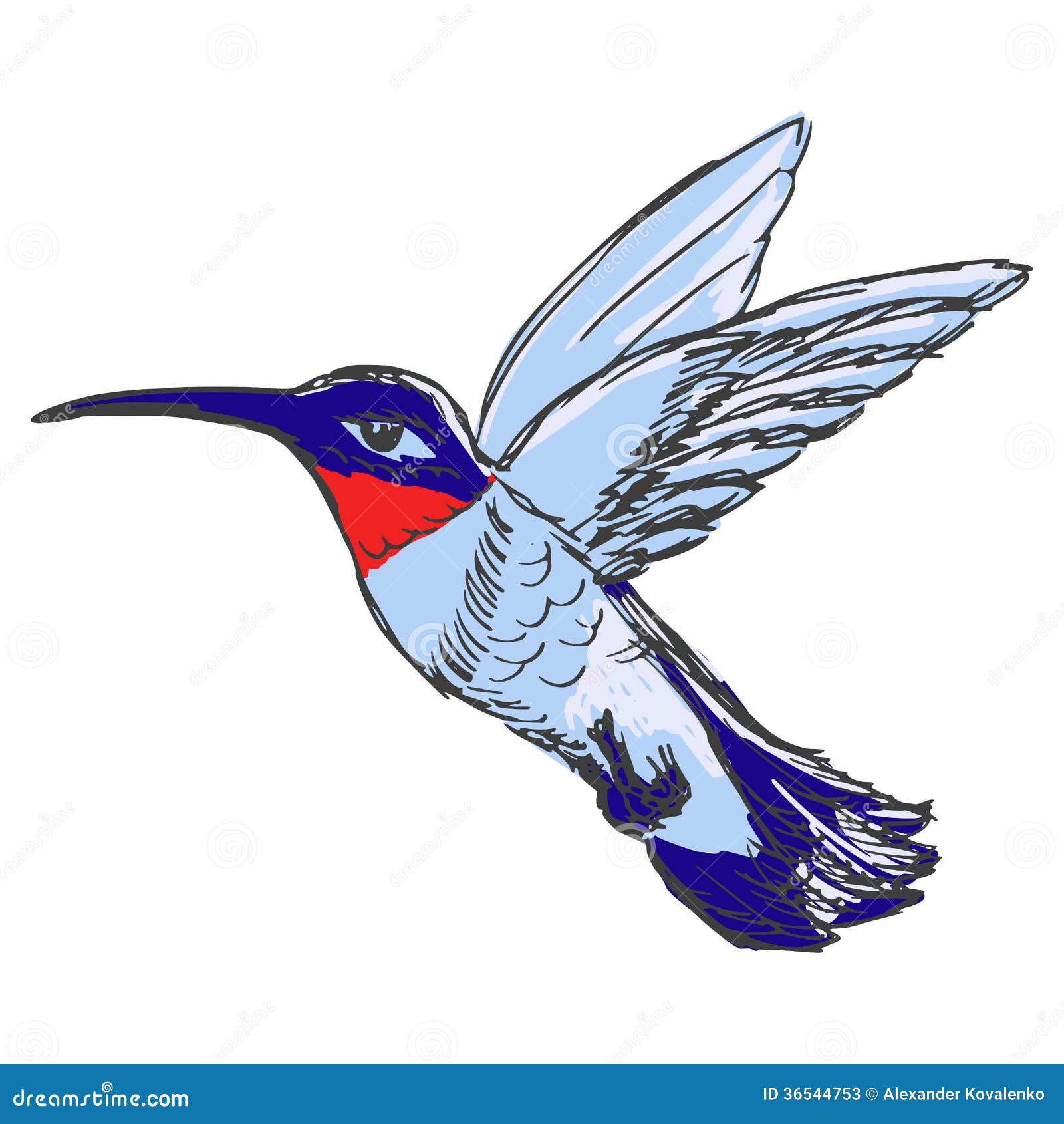 free animated hummingbird clipart - photo #50