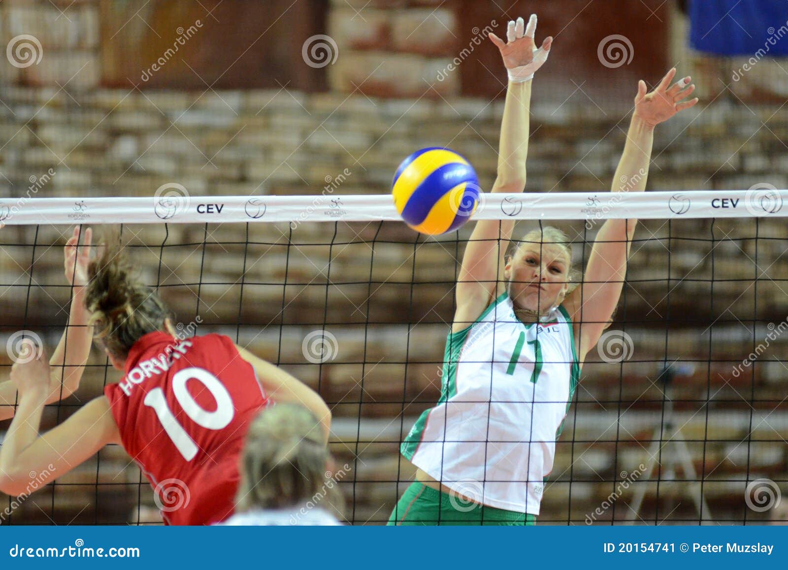  - hungary-bulgaria-volleyball-game-20154741